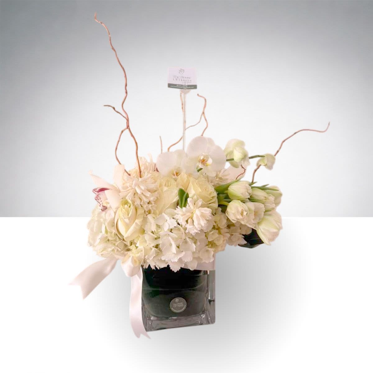 Ivory Orchid Garden by The House of Flowers - A graceful and modern floral arrangement featuring white hydrangeas, premium roses, delicate orchids, and fresh tulips, accented with natural curly willow for added height and movement. Designed in a contemporary glass cube and finished with a soft ribbon, this piece offers a refined balance of texture, elegance, and artistic style.  Its soft ivory and white tones make it a beautiful choice for celebrations, sympathy gestures, home décor, or sending a thoughtful gift with timeless charm.  A sophisticated floral design created to bring beauty, elegance, and serenity to any space.