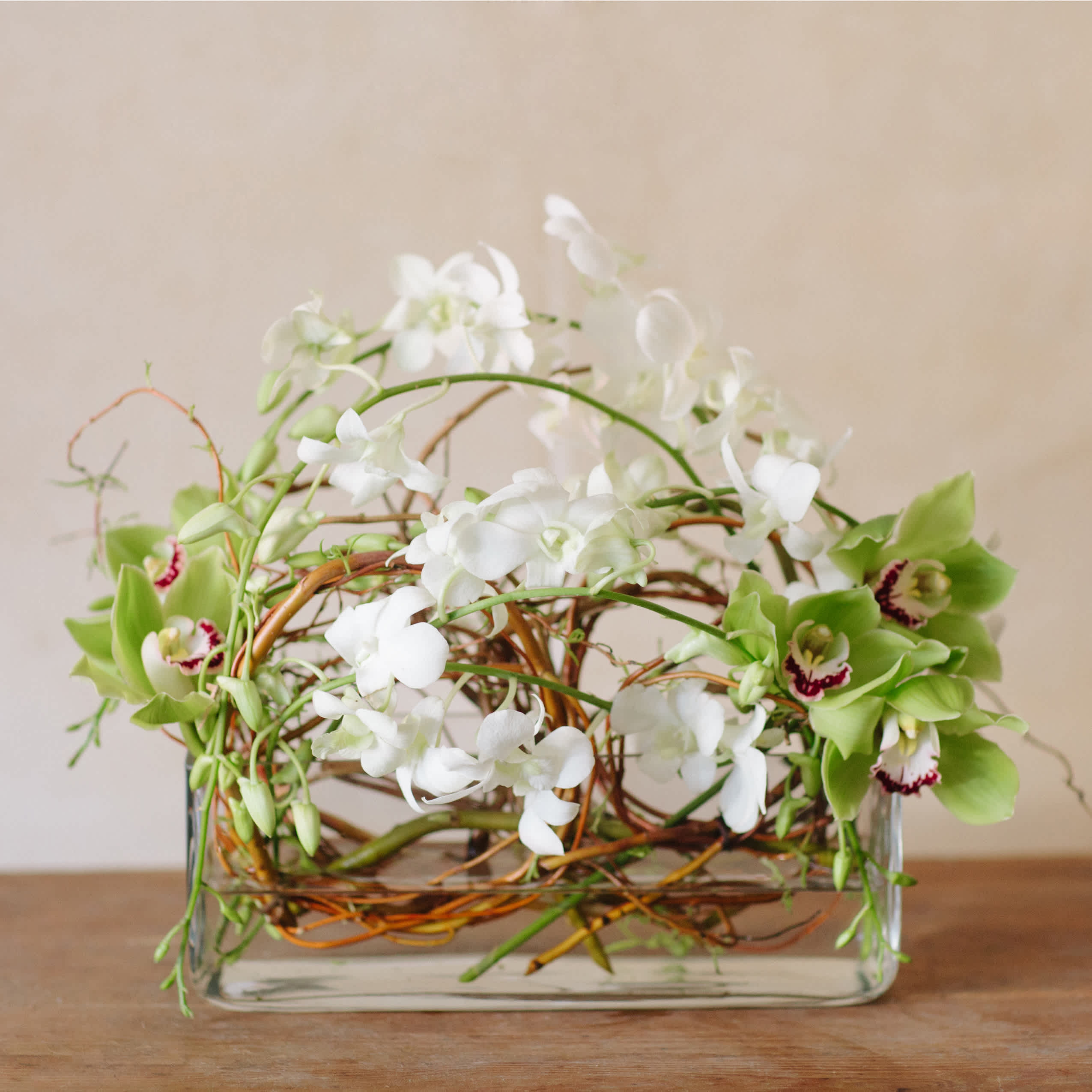 Artful Orchids - Minimalist but striking arrangement of cymbidiums and dendrobiums in a low rectangular vase (12" long).
