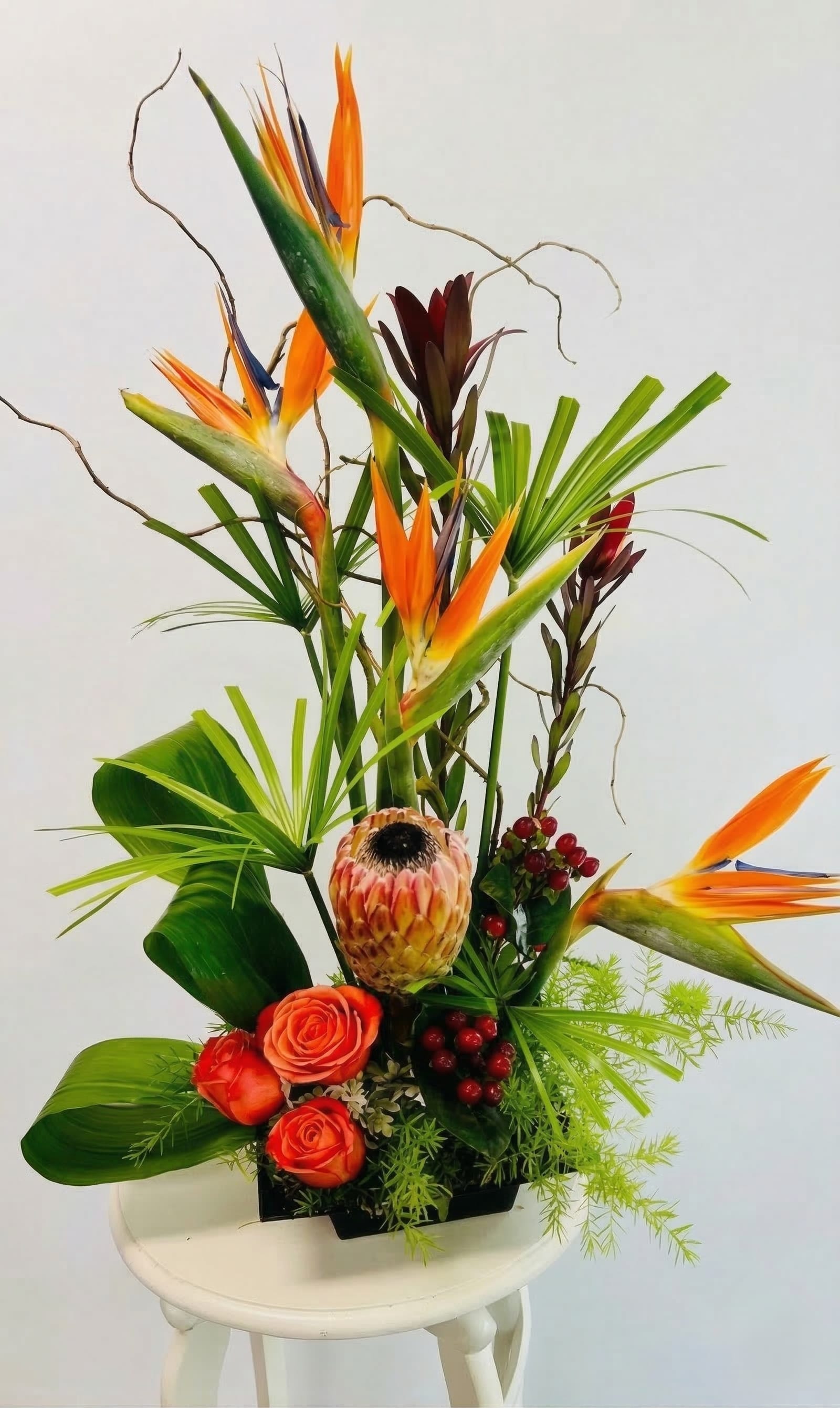 Tropical arrangement with orange birds of paradise, protea, and roses in a low black container