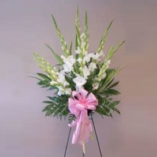 White Gladiola Spray - White Gladiola Spray | Wilmington, Delaware Funeral Flowers Honor a life of grace and purity with our White Gladiola Spray, a serene and elegant funeral arrangement handcrafted by Petals Flowers and Fine Gifts in Wilmington, Delaware. This standing spray features tall, pristine white gladiolas complemented by lush palm leaves and finished with a soft pink ribbon—creating a peaceful and meaningful tribute for a funeral, memorial service, or celebration of life.  Symbolizing strength of character and heartfelt remembrance, the White Gladiola Spray brings a touch of tranquility and beauty to any service. Its tall, vertical design adds a graceful presence that honors the memory of a loved one with dignity and compassion.  At Petals Flowers and Fine Gifts, we are a trusted local florist in Wilmington, Delaware, known for creating premium sympathy and funeral arrangements with care and artistry. We offer same-day, tax-free flower delivery to all local funeral homes, churches, and residences in Wilmington, Newark, Hockessin, Chadds Ford, Glen Mills, Kennett Square, and surrounding areas.  Why Choose Petals Flowers and Fine Gifts?  * Elegant, custom funeral and memorial flower designs * Locally owned florist in North Wilmington with personal service * Same-day, tax-free delivery throughout the greater Wilmington area Send the White Gladiola Spray today and offer your condolences with a timeless floral tribute that brings comfort, love, and peace.