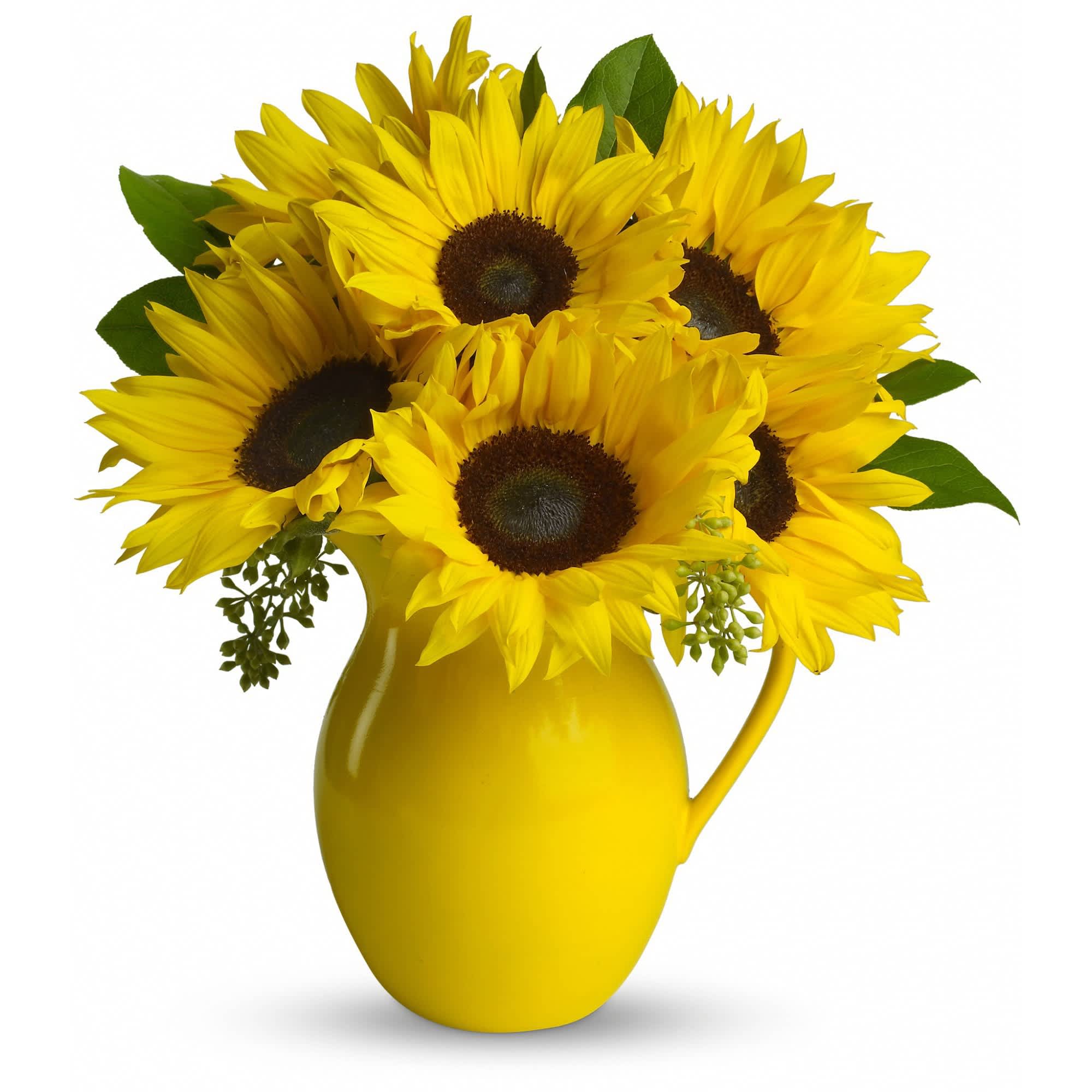 Teleflora's Sunny Day Pitcher of Sunflowers - Pour on the fun by sending this dazzling bouquet of summer's brightest blooms! Great if you're invited to a pool party, BBQ or just want to brighten up someone's day.    Stunning sunflowers, salal and seeded eucalyptus are beautifully arranged in a brilliant yellow ceramic pitcher. This gift will be serving up fun and sun for years to come.    Approximately 13" W x 15 1/2" H    Orientation: All-Around        As Shown : T153-1A      Deluxe : T153-1B      Premium : T153-1C    