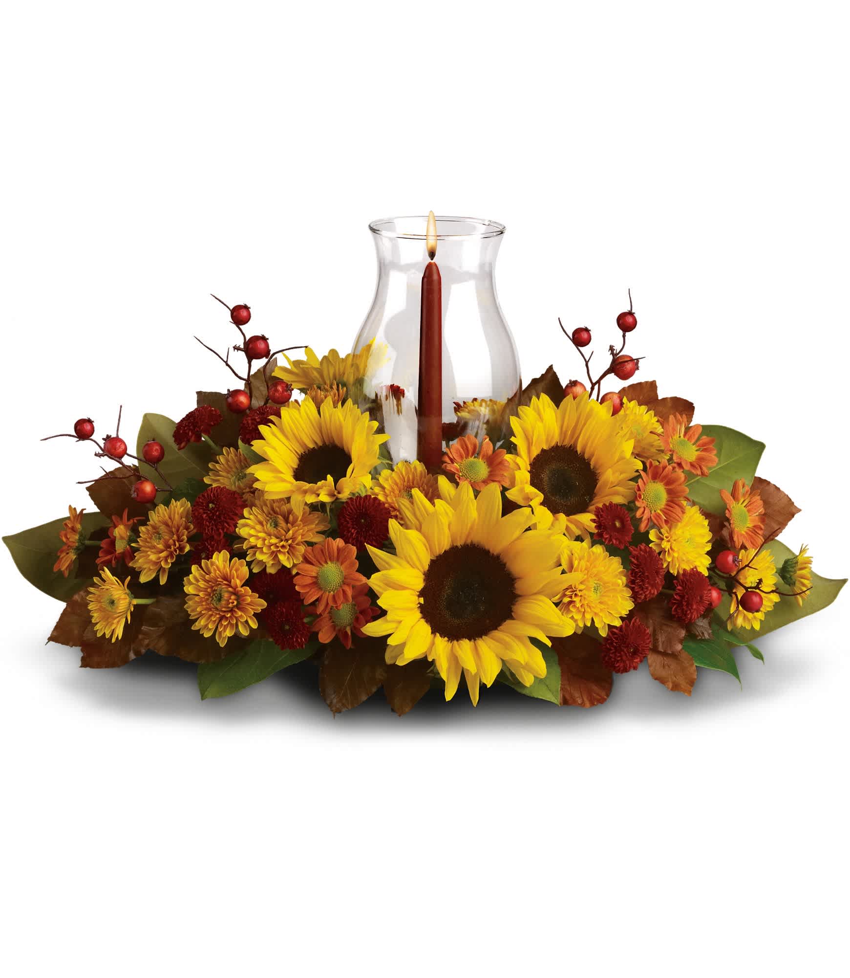 Sunflower Centerpiece  - Symbolizing warmth and happiness, it is no wonder the sunflower is a quintessential ingredient in so many fall bouquets. This centerpiece maximizes the joy of sunflowers by arranging them with a bevy of fall flowers, foliage and a cranberry hued candle under hurricane glass.    Along with brilliant sunflowers, you'll find yellow spray roses, bronze and rust chrysanthemums, red berries, magnolia leaves and of course an elegant tapered candle inside a hurricane vase.    Approximately 21" W x 12" H    Orientation: All-Around        As Shown : T170-1A      Deluxe : T170-1B      Premium : T170-1C    