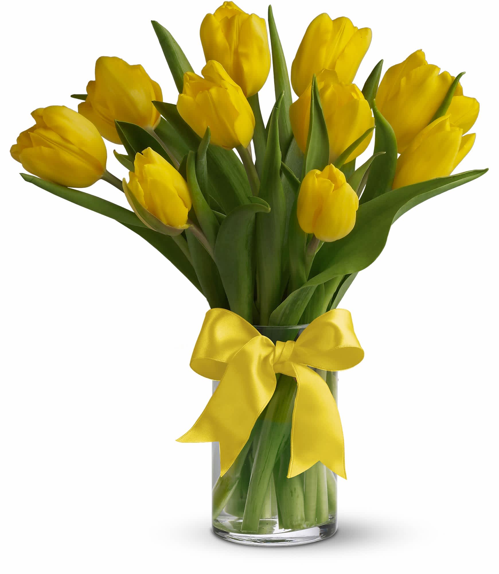Sunny Yellow Tulips - Sunny yellow tulips are a sure sign of spring. Even if the weather is not cooperating, you can be sure the person who receives this bright bouquet will feel the warmth of your message.    Dazzling yellow tulips are delivered in an exclusive glass vase that's all wrapped up withâ¦what elseâ¦a bright yellow ribbon. So go ahead and send sunshine. Even (or especially) if it's a cloudy day!    Approximately 12 1/2" W x 14 3/4" H    Orientation: All-Around    As Shown : T140-1A  Deluxe : T140-1B  Premium : T140-1C