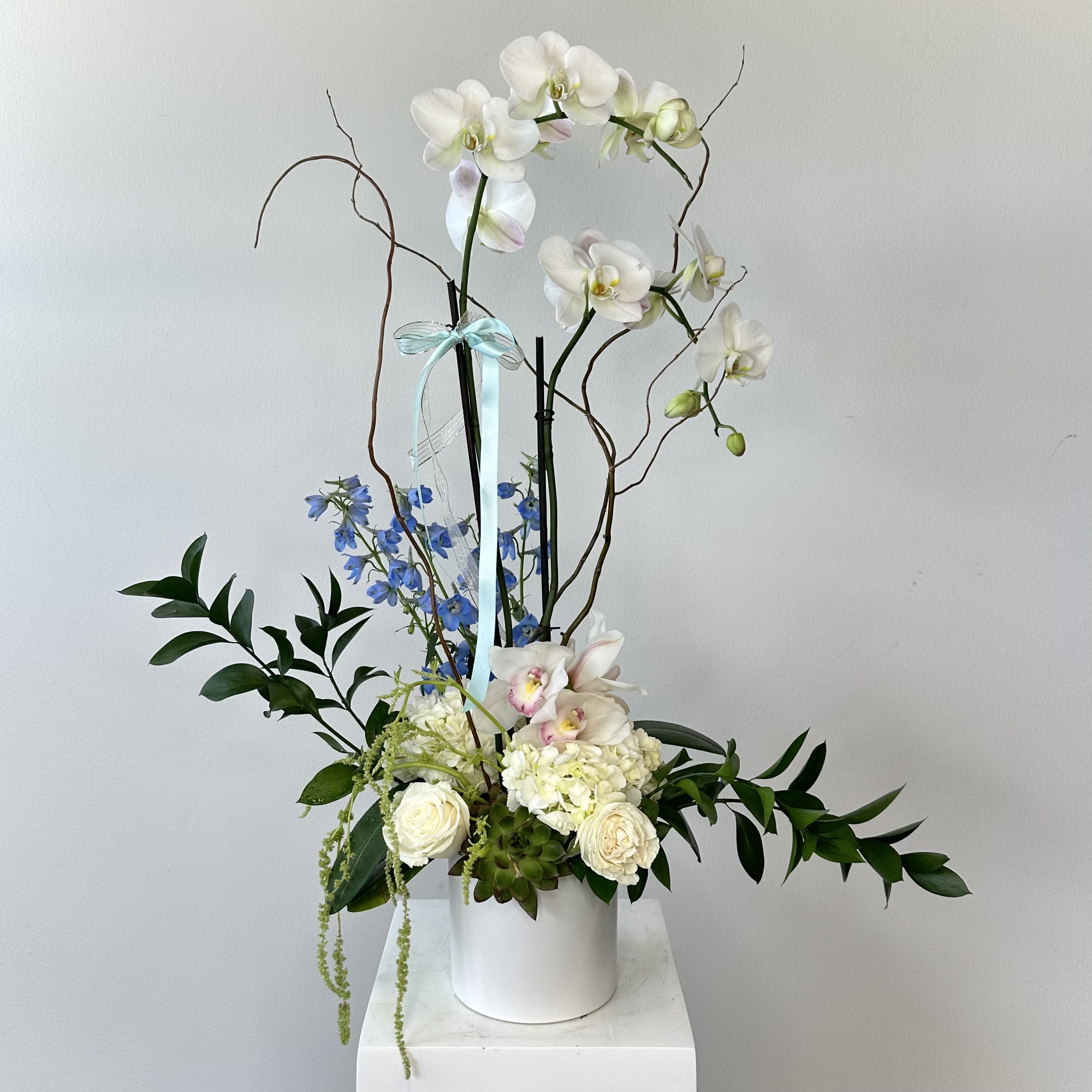 Eden - Step into paradise with "Eden," an exquisite luxury orchid arrangement that captures serene elegance and natural sophistication. This stunning double stem phalaenopsis orchid (moth orchid) blooms gracefully in pristine soft white tones, rising tall as the centerpiece of refined beauty. Complemented by lush green hydrangea for voluminous, garden-fresh texture, vibrant blue delphinium spikes adding dramatic height and cool celestial pops of color, cascading green hanging amaranthus for flowing, whimsical movement, and a sculptural succulent accent grounding the design with modern, low-maintenance allure. This elegant green and blue floral arrangement blends glossy orchid petals, airy delphinium, plush hydrangea heads, trailing amaranthus tendrils, and architectural succulent form into a harmonious, contemporary masterpiece. Perfect as a luxury phalaenopsis orchid centerpiece for dining tables, mantels, office desks, modern home decor, spa-inspired relaxation spaces, or sophisticated events like weddings, anniversaries, housewarmings, and "get well" gestures. The long-lasting blooms and resilient succulent make it an ideal orchid succulent arrangement that brings timeless tranquility and exotic charm indoors. Evoke the untouched beauty of a secret garden – order your Eden arrangement today and infuse your space with peaceful, elevated luxury!