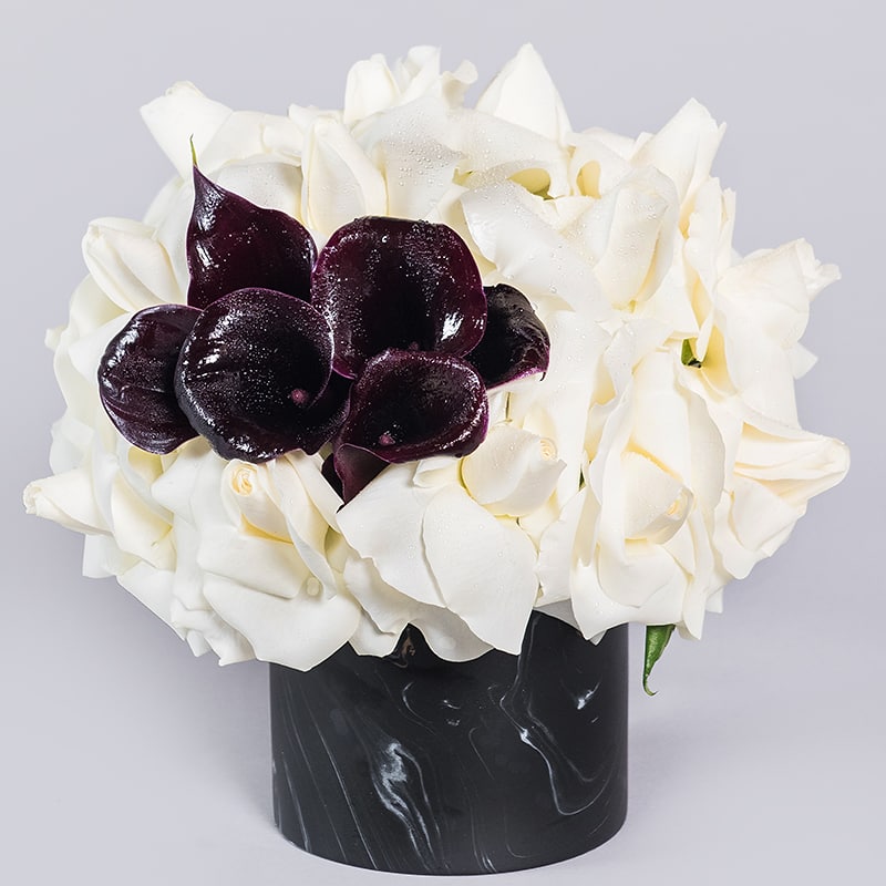 Spot - An ultra modern and vogue arrangement that's full of bright white Roses and black mini Calla Lilies. This will make a small but powerful style statement anywhere  *vase subject to availability