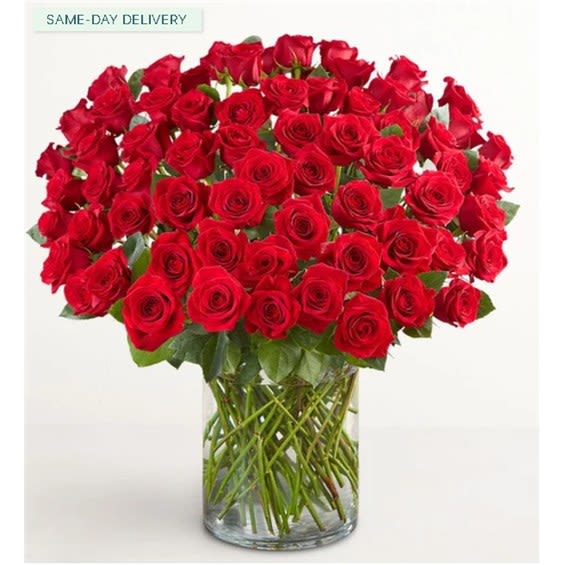 100 Premium Red Roses In A Vase -  100 stunning long stem  roses!