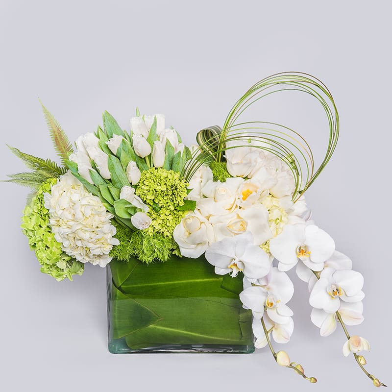 Playground - A delightful display of various textures! This beautiful arrangement is overflowing with Hydrangea, Roses, Tulips, Cymbidium and Phalaenopsis Orchids, and makes a powerful statement that keeps the eyes constantly entertained. 