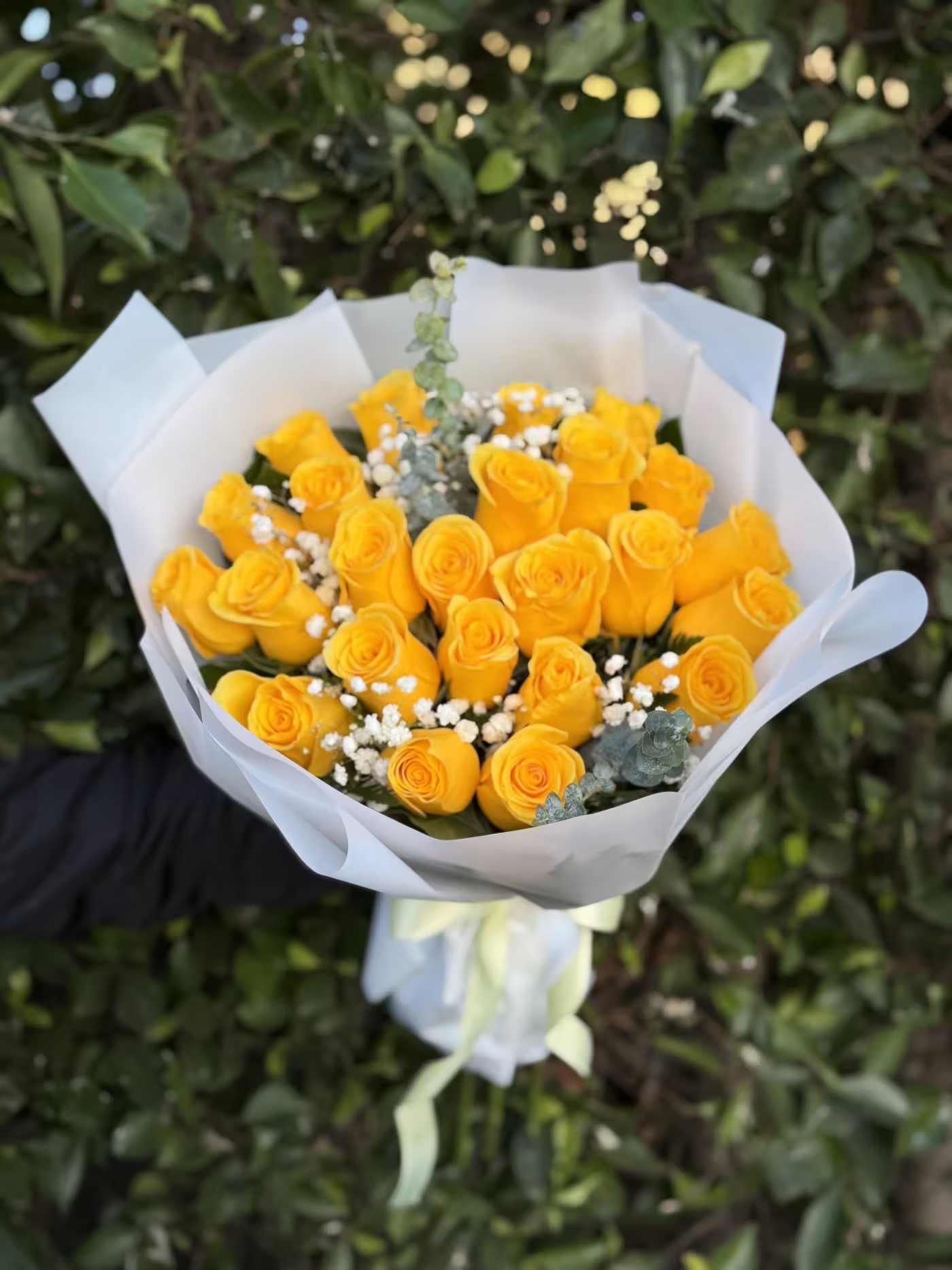 Golden Glow- 24 - Bright, happy, and full of charm—this wrapped handheld bouquet features 24 vibrant yellow roses accented with airy textures and fresh greens. Designed to feel light and uplifting, it’s the perfect way to share joy, appreciation, or a simple “thinking of you.”