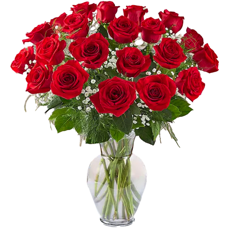2 Dozen Long Stem Red Roses - Bold, luxurious, and undeniably romantic, this stunning arrangement of two dozen long stem red roses is a powerful expression of love and devotion. Red roses have long symbolized deep passion, desire, and enduring romance, making this bouquet an unforgettable gift.  Expertly arranged with fresh greenery and delicate filler flowers, this generous rose bouquet is perfect for Valentine’s Day, anniversaries, birthdays, or when you want to make a grand romantic gesture. With twenty-four long stem red roses, this arrangement delivers twice the beauty and creates a lasting impression that speaks straight from the heart.