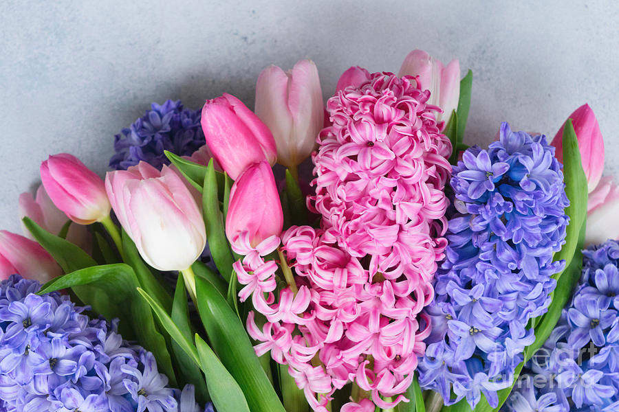 WELCOME SPRING!!!!!  Bulb plants - Brighten up someone's day with a touch of spring, that will make them think of you every year when they bloom in their garden. This may include but not limited to tulips, hyacinths and/or daffodils. NOTE: COLORS AND PLANTS VARY