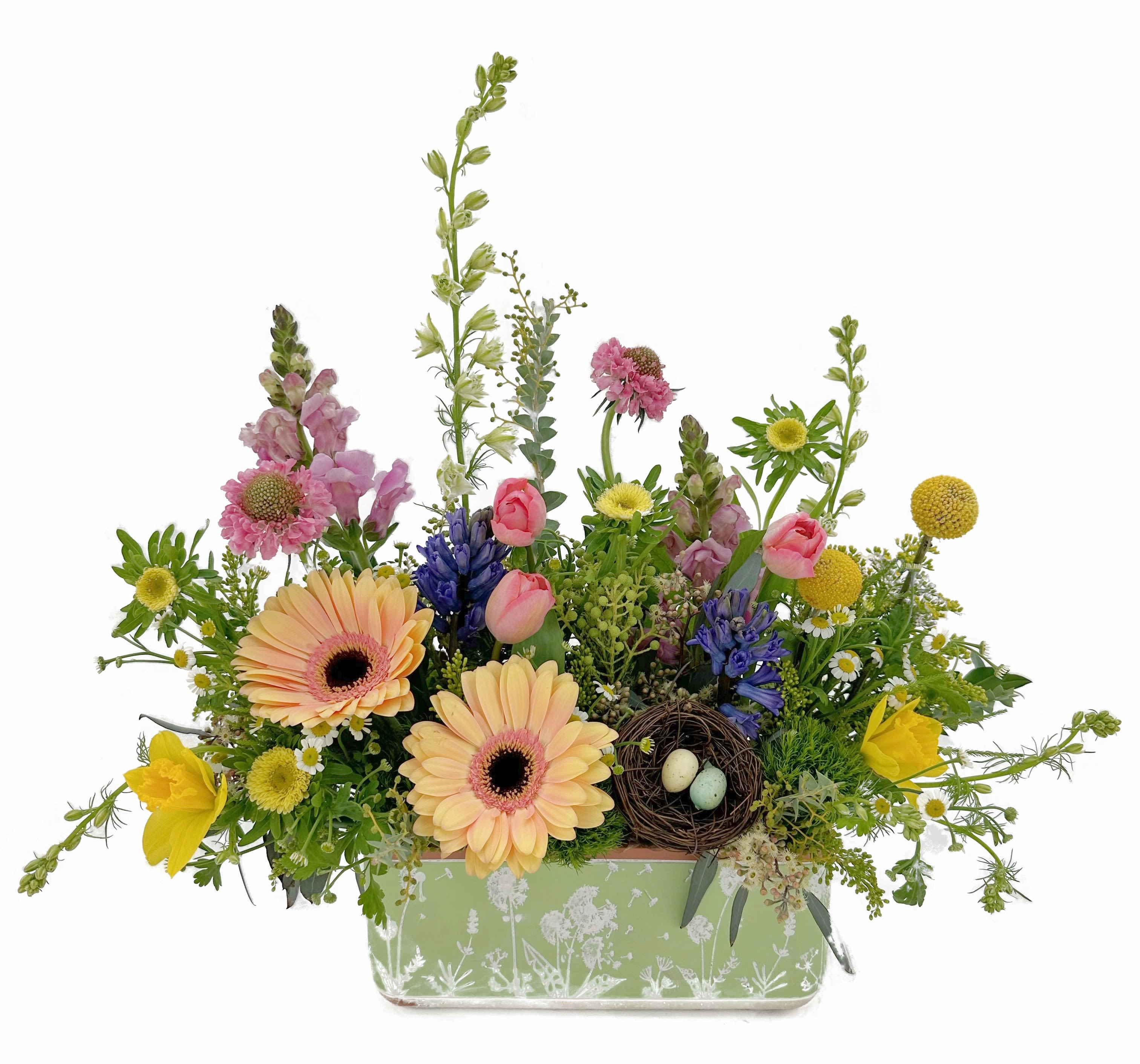 Spring Garden Box - A cheerful garden-style arrangement bursting with fresh spring charm. Soft peach gerbera daisies take center stage, surrounded by delicate tulips, snapdragons, and whimsical wildflower accents in shades of pink, yellow, and lavender. Lush greenery and airy textures create a natural, just-picked feel, while a charming bird’s nest with pastel eggs adds a sweet seasonal touch. Designed in a keepsake container, this piece brings a breath of spring indoors and makes a perfect gift for any occasion. Container Color may vary.