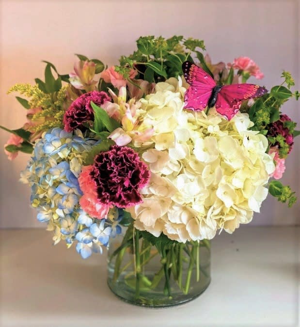 Butterfly Garden - This beautiful garden designed with Large hydrangeas, Alstromeria, carnations, mini carnations and bupleurum arranged in a glass cylinder and accented with a butterfly.