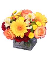 Autumn Spark - This delightful arrangement is full of autumn sparks! Filled with striking yellow gerberas, burgundy mini carnations, yellow alstroemeria, and more, Autumn Spark is sure to be a fall favorite. Surprise someone you love with some fun fall vibes today!