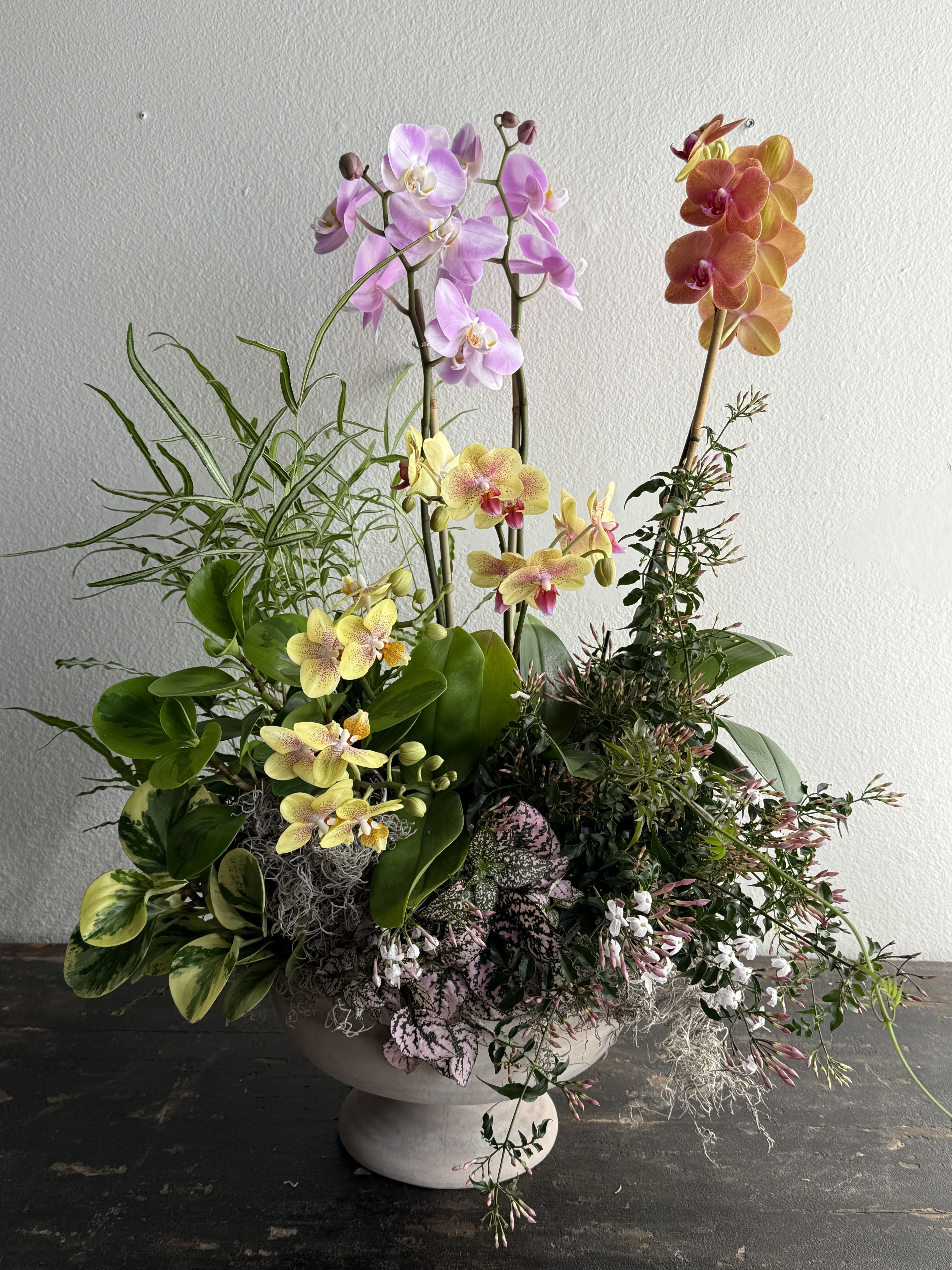 Mother's Day Arrangement #4 - The centerpiece features multiple Phalaenopsis orchids in soft pink, warm peach, and buttery yellow tones, each bloom delicately layered with subtle gradients and intricate centers. Their tall, graceful stems add height and movement, creating a striking vertical element.