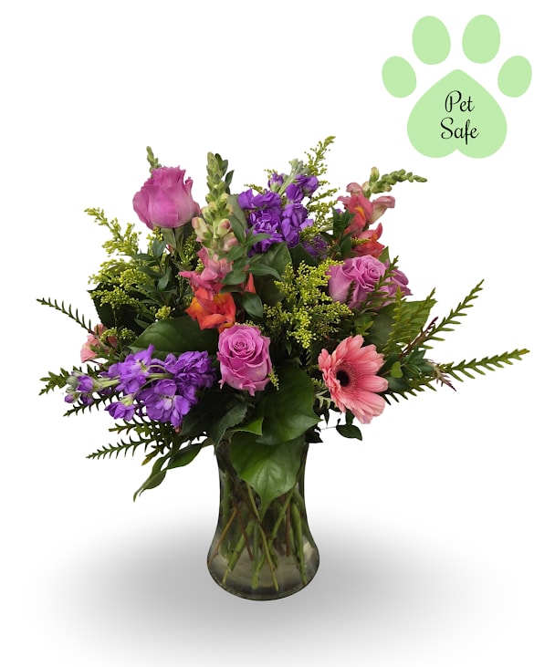 Safe and Sweet Blooms - A bright and playful mic of blooms designed with your furry friends in mind. This fully pet-safe arrangement features vibrant flowers such as roses, gerbera daisies and stock to add a pop of color to any space.  Approx. 19" x 14" x 13"  Disclaimer: While these flowers and greenery are considered pet-safe, ingestion of large amounts still may cause mild stomach discomfort. Please monitor pets and discourage chewing or consuming the arrangement.