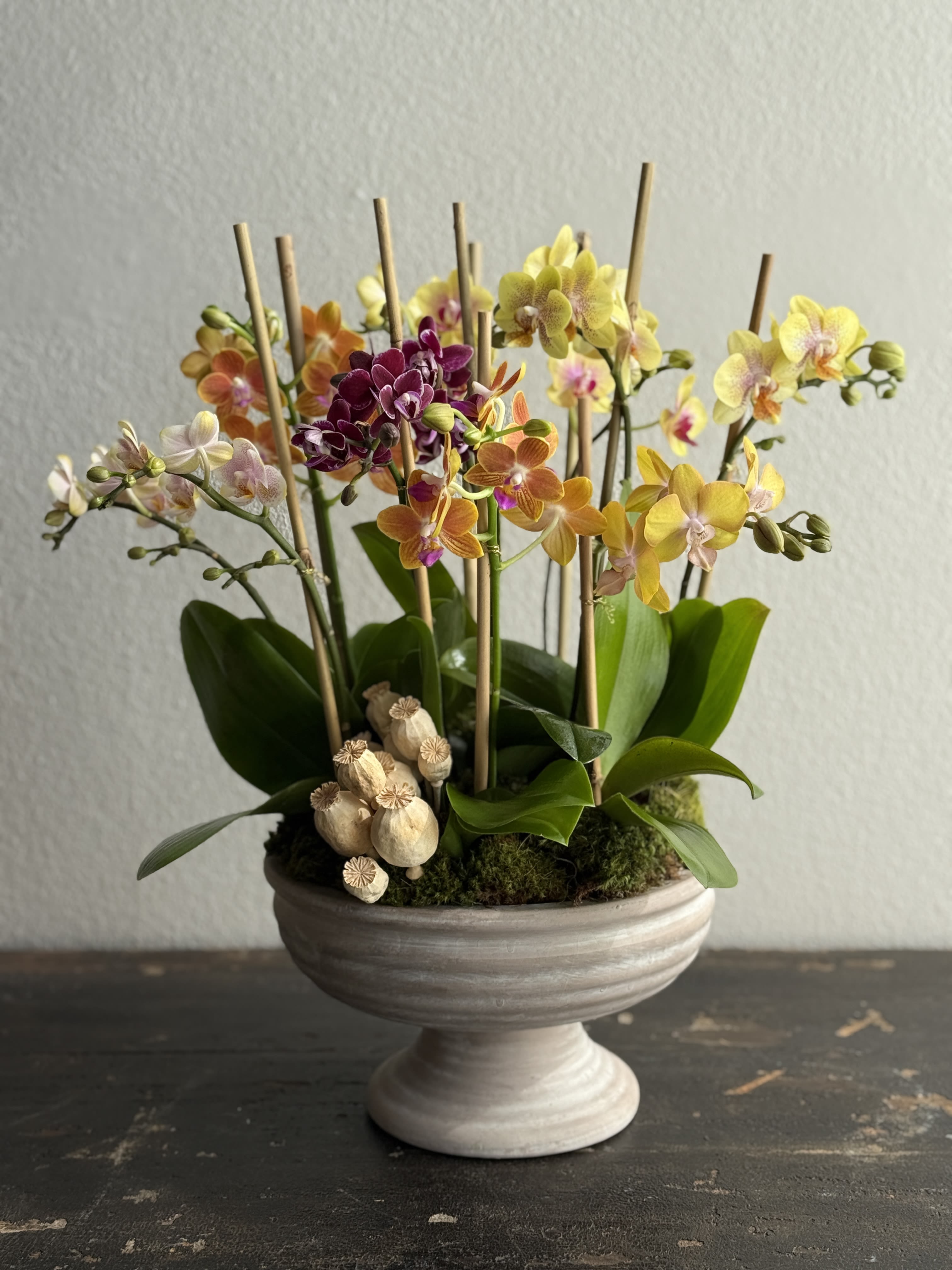 Mother's Day Arrangement #5 - This lush composition features an array of Phalaenopsis orchids in rich shades of golden yellow, soft peach, warm orange, creamy ivory, and deep magenta. Each delicate bloom showcases intricate patterns and luminous centers, creating a dynamic, multi-tonal display.