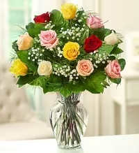 Rainbow Dozen Roses - A cheerful and vibrant arrangement featuring a dozen assorted roses in pink, yellow, red, white, and peach. This colorful mix creates a lively and eye-catching display, perfect for celebrating any occasion or brightening someone’s day with a classic and timeless floral gift.