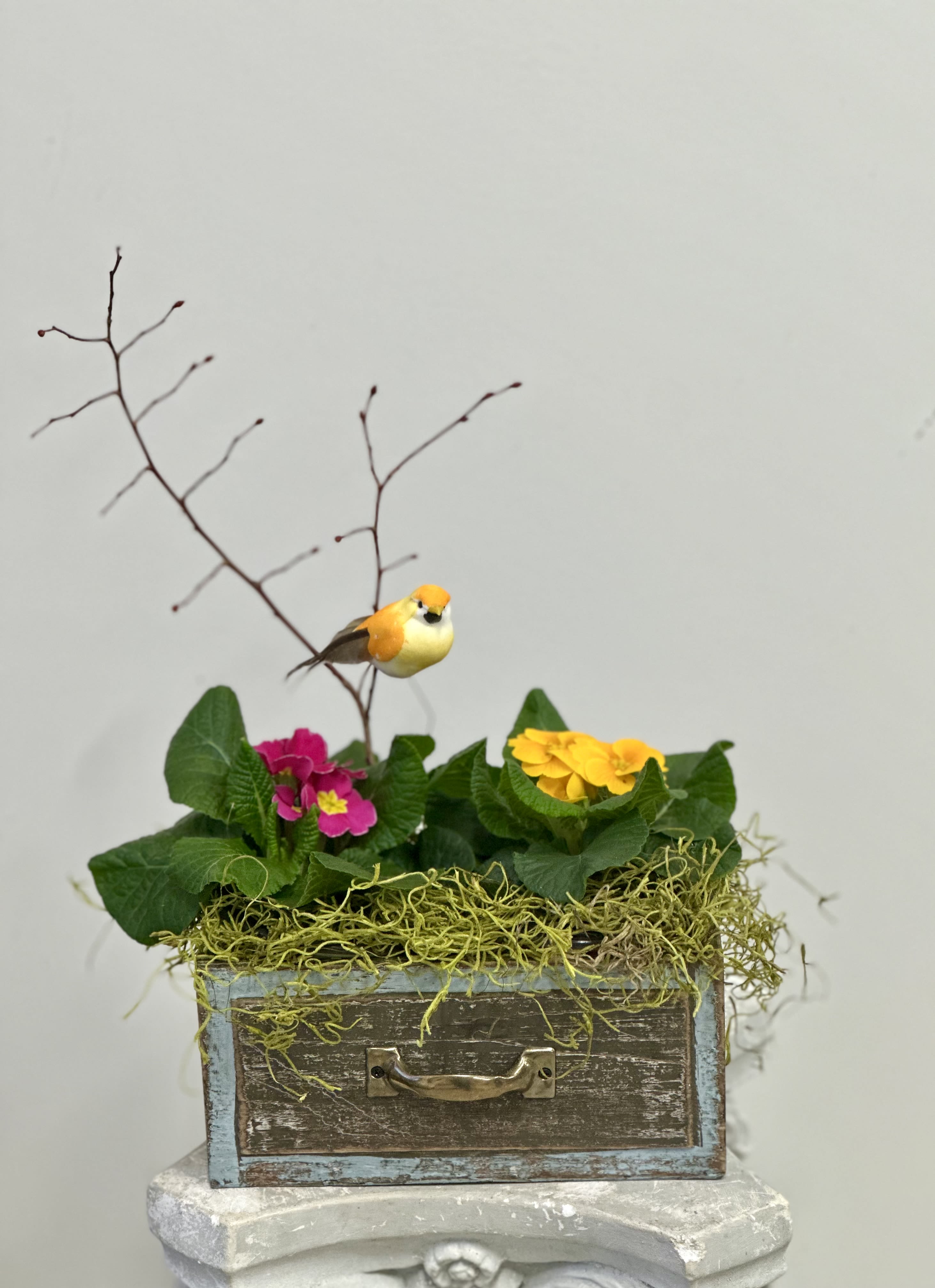 Country Cottage Garden by Westford Florist Art by Veny - Transform your space into a cheerful retreat with the Country Cottage Garden by Westford Florist Art by Veny! Nestled in a charming rustic wooden box adorned with a delightful metal handle, this stunning arrangement features vibrant magenta and sunny yellow primroses that bring an instant burst of joy to any room. Perfect for brightening up your home or gifting to someone special, these lovely flowers are not just about beauty – they evoke the warmth and tranquility of countryside living. Bring a touch of nature indoors and let your heart bloom! 