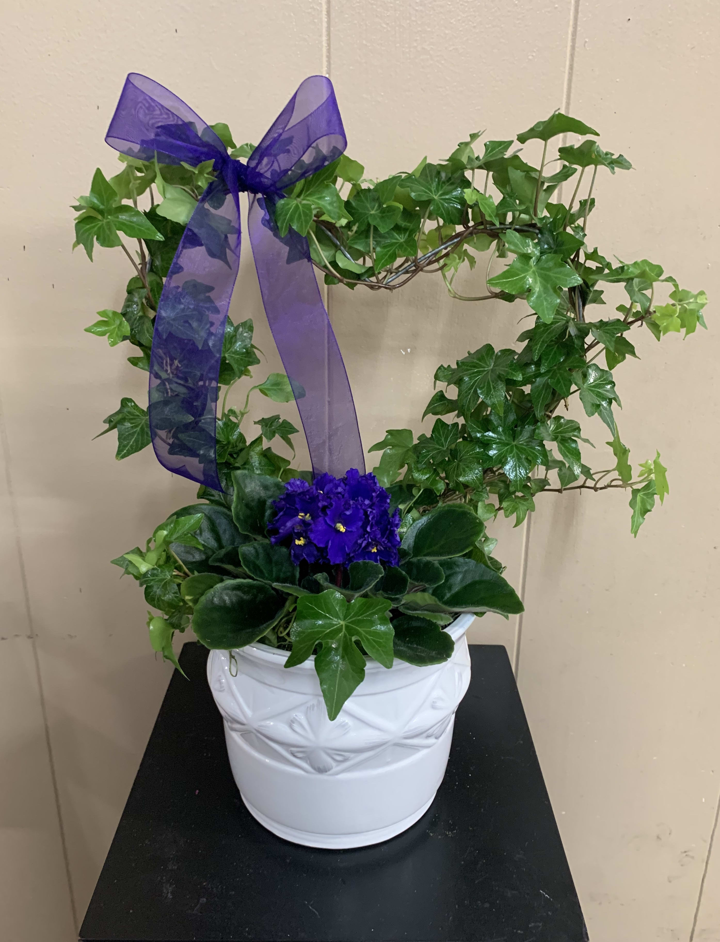 Heart Ivy Topiary - This beautiful Heart Ivy topiary is a unique spin on a plant. In the center of the ivy is a blooming plant to add a splash of color. This non-traditional plant brings the outside blooming in.   *Plant color and variety as well as ceramic pot may vary depending on availability.