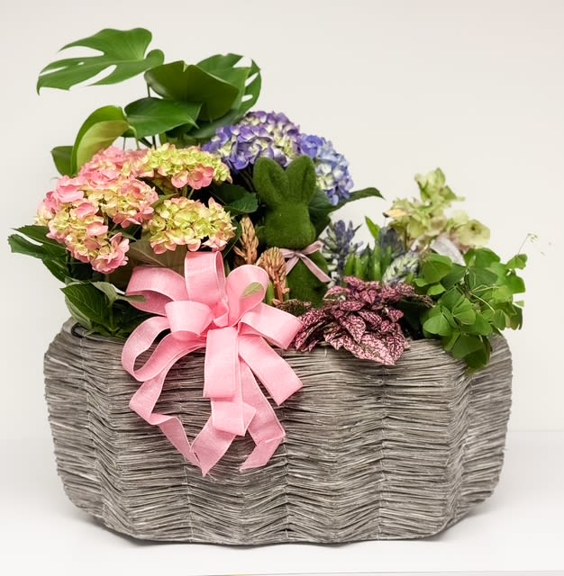 Spring Harmony Celebration Garden Basket - Celebrate the beauty of the season with our Spring Harmony Celebration Garden Basket, a lush and abundant planter designed to capture the spirit of renewal and joy. Overflowing with soft, cloud-like hydrangeas, fragrant hyacinth, and a curated mix of vibrant spring-blooming plants, this piece is complemented by rich green foliage for a full, garden-style presentation.  Designed in a large, natural woven basket, this arrangement brings warmth and elegance to any home, table, or entryway. Perfect for Persian New Year (Nowruz), Easter, and Passover, it symbolizes rebirth, growth, and fresh beginnings—making it a meaningful gift or centerpiece for seasonal gatherings.  Long-lasting and easy to enjoy, this planter continues to bloom and thrive, offering beauty well beyond the celebration. Why Customers Love It: Full, lush garden-style design Fragrant seasonal blooms like hyacinth Long-lasting mix of blooming and green plants Perfect for gifting or decorating holiday tables Ideal for Nowruz, Easter, and Passover celebrations  Why Customers Love It: Full, lush garden-style design Fragrant seasonal blooms like hyacinth Long-lasting mix of blooming and green plants  Perfect for gifting or decorating holiday tables Ideal for Nowruz, Easter, and Passover celebrations  Bring the beauty of spring into your home or send a thoughtful seasonal gift—order your Spring Harmony Celebration Garden Basket today for local delivery.