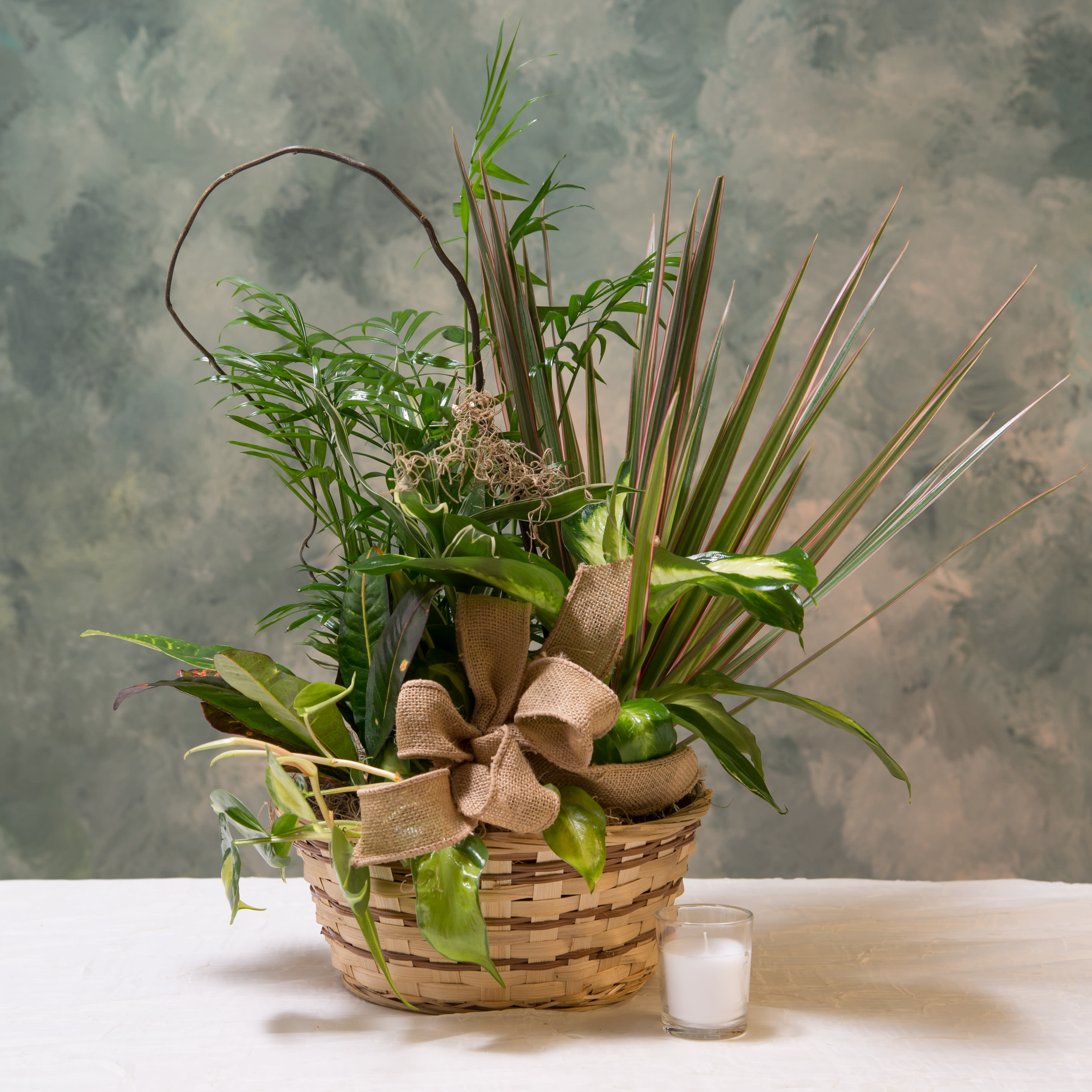 Dish Garden - This rustic-style dish garden has marvelous greens that are nestled in a wicker basket and tied with a burlap bow. Ideal for a housewarming gift or a "get well soon!"