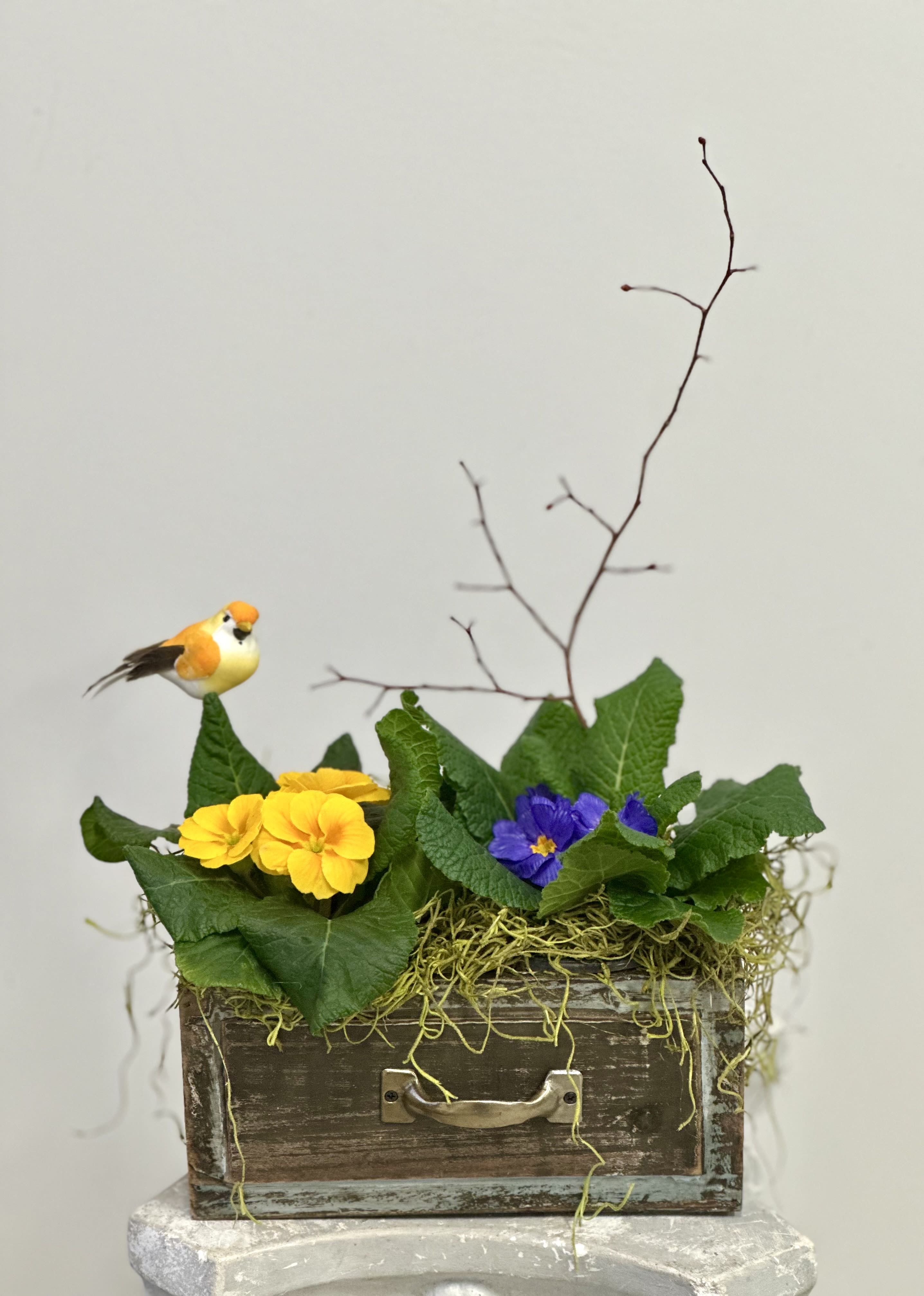 Primrose Paradise Garden by Westford Florist Art by Veny - Step into a world of vibrant colors and delightful scents with the Primrose Paradise Garden by Westford Florist Art by Veny! This cheerful arrangement features sunny yellow and rich purple blooms, artfully designed to brighten any space. Nestled in a charming rustic wooden box with a stylish metal handle accent, it's perfect for both your home or as a thoughtful gift. Whether you’re looking to add some flair to your decor or surprise that special someone, this garden is sure to bring smiles all around. Dive into the joy of nature right at your fingertips—order yours today and let your indoor oasis bloom! 