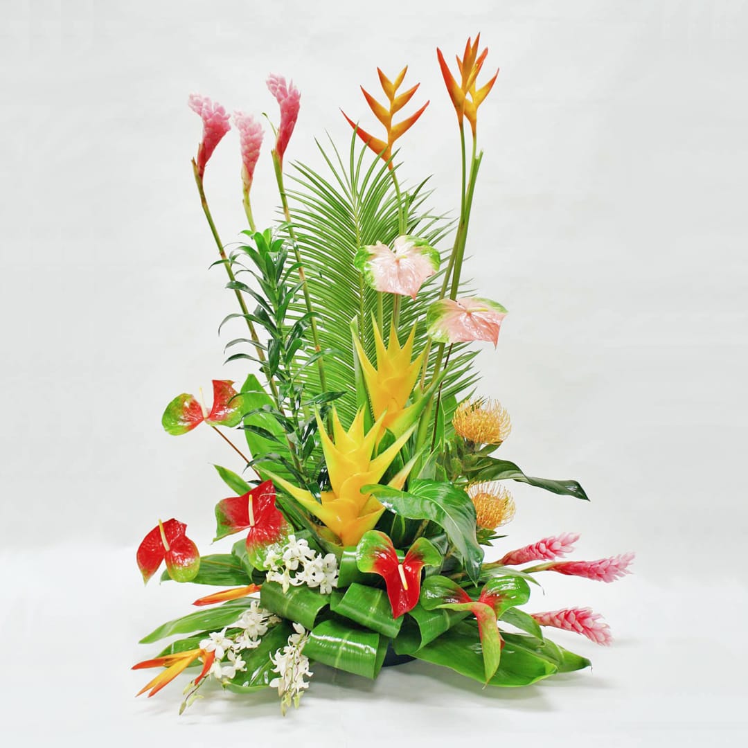 Tropical Pa'ina (Grand Opening/Stage Piece) - Celebrate the very important people in your life with our grand tropical arrangement, featuring an exquisite selection of tropical favorites. This stunning display includes orchids, ginger flowers, anthuriums, and bird of paradise, creating a truly magnificent and memorable gift.  Key Features:  Tropical Favorites: Includes orchids, ginger flowers, anthuriums, and bird of paradise, showcasing the vibrant colors and unique shapes of tropical blooms.  Grand and Impressive: Designed to impress with its size and luxurious selection of flowers, making it perfect for special occasions or events.  Ideal for Gifting: A great option for celebrating milestones such as store openings, conveying best wishes, or honoring significant achievements.  Elegant Presentation: Presented in a stylish container or vase, enhancing the overall beauty and ensuring a grand and impactful display.  Symbol of Appreciation: Represents admiration and appreciation for the recipients, conveying a message of importance and respect.  Delight and impress with our Grand Tropical Arrangement, a magnificent gift that captures the beauty and splendor of tropical flora, perfect for honoring and celebrating cherished individuals and special occasions.