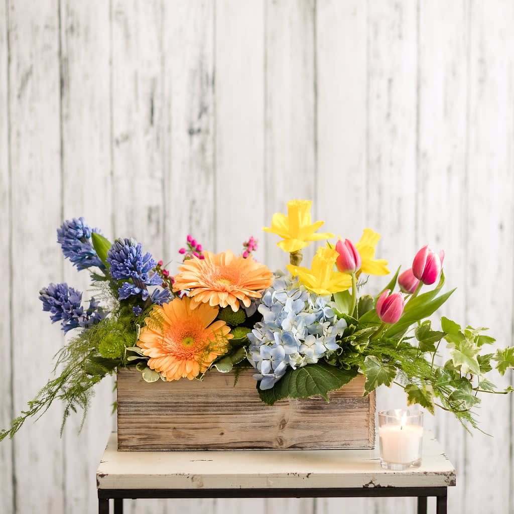 Raindrop - Refreshing as a spring shower, this design features spring favorites clustered together for a contemporary centerpiece.  Approximately: 12"H x 22"W