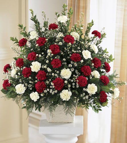 Devotion Arrangment - Red carnations and white carnations are accented with white Monte Casino asters in this traditional arrangement. A variety of greens adds texture and fullness to the design. A one-sided composition, this is appropriate to send to the funeral home or service. FTD S24-3809