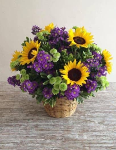 Indiana Porte - Sunflowers take center stage in this cheerful sunflower arrangement, a bright choice for a birthday bouquet, get well gift, or simply to lift someone's spirits. The tall golden heads rise above a dense dome of small purple asters and round green button chrysanthemums, creating a bold, lively contrast that reads as joyful and welcoming to the person you're gifting.  The flowers are tightly arranged in a low, rounded shape that fills a natural woven wicker basket, giving the design a rustic, casual feel perfect for home or office display. Textures play up the playful mood-velvety sunflower petals, delicate aster clusters, and the button-like mums-while the yellow, purple, and fresh green palette keeps the look bright and balanced.  Designed to make the recipient feel seen and cheered, this arrangement sends a message of warmth and encouragement for birthdays, get well wishes, or everyday celebrations. The basket arrives ready to display; keep blooms in fresh water, trim stems a little when refreshing the vase or water, and they'll continue to brighten a room for days.