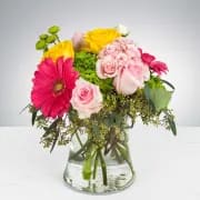 Time To Celebrate by BloomNation™ - No matter what you're celebrating, this is a perfect gift to wish someone praise or honor their new beginnings. This arrangement contains Pink Gerbera Daisies, Roses, and Hydrangea. 