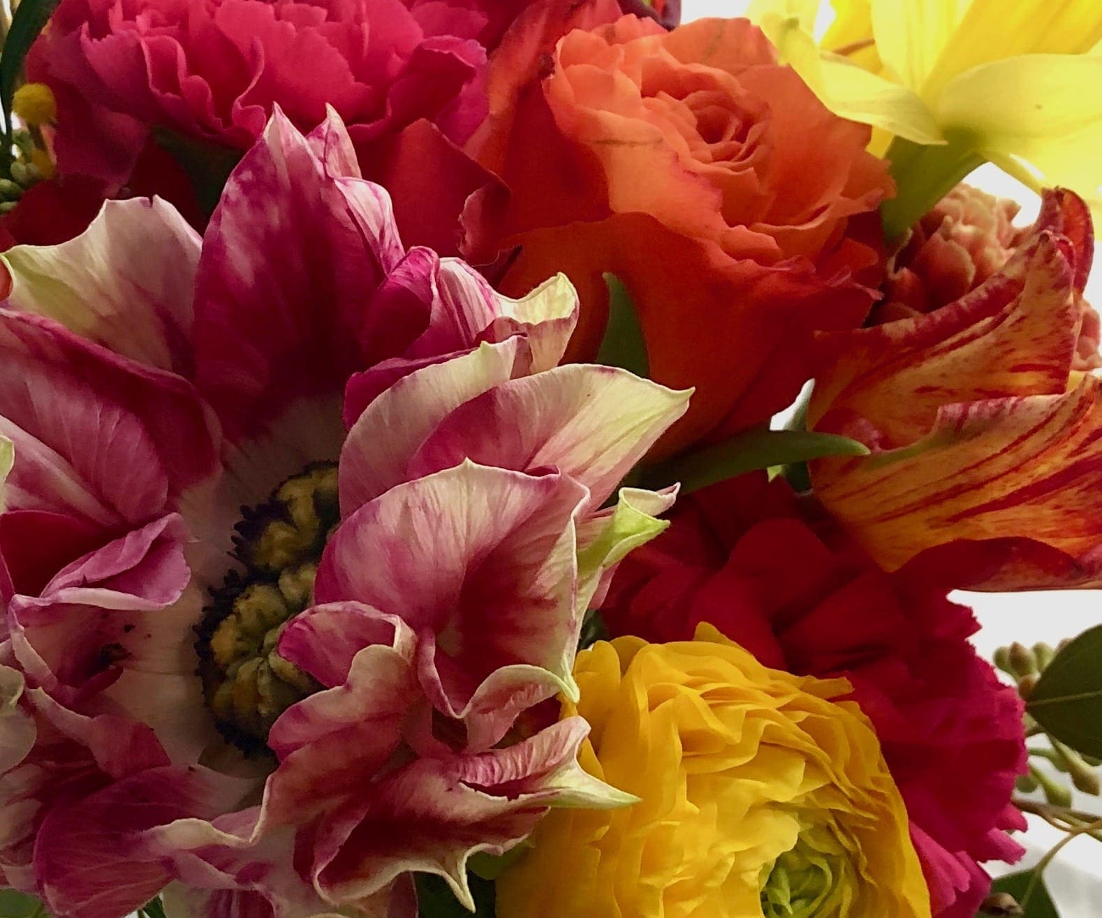 Designers Choice (Bright Colors) - Fresh bright blooms hand picked by our designers!