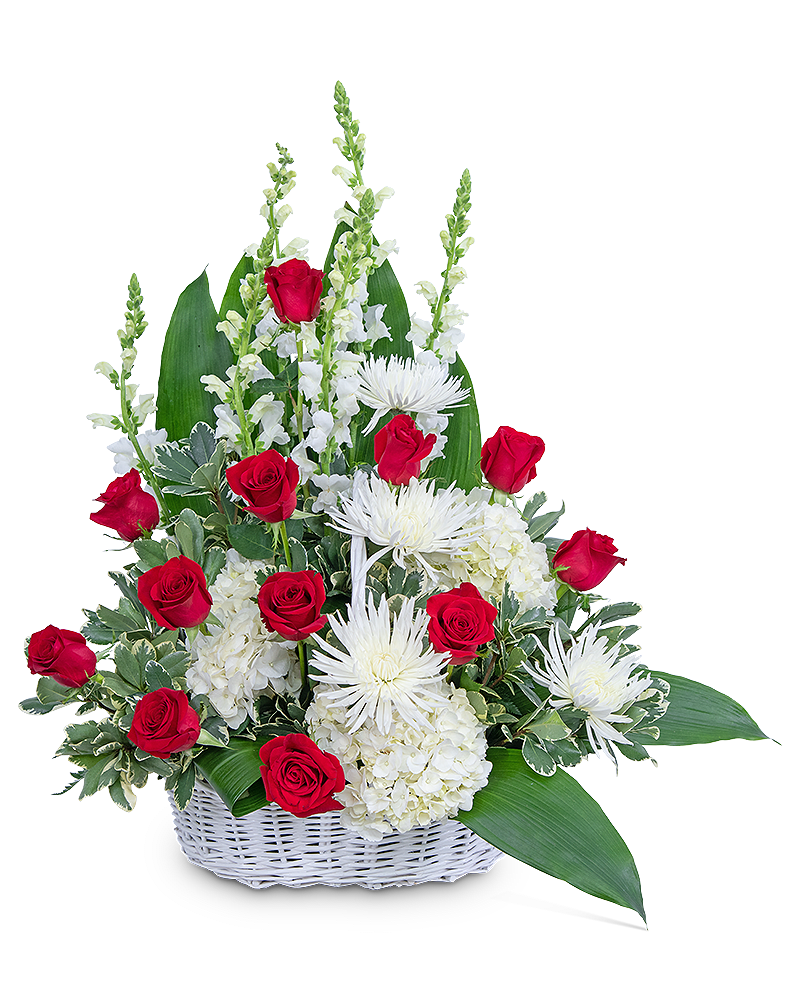 Serene Sanctuary Basket - Our Serene Sanctuary Basket is a classic red and white funeral flower design to be displayed on a side table near the casket or sent directly to the home. It features roses, Hydrangea, Snapdragons, Spider Mums, and other premium foliage in a classic white basket. Funeral flowers bring healing to the family and friends of a lost loved one. A similar look can be achieved with other colors and flowers. For any and all funeral flowers, feel free to contact our shop for ideas and variations to make your final tribute extra unique and special.