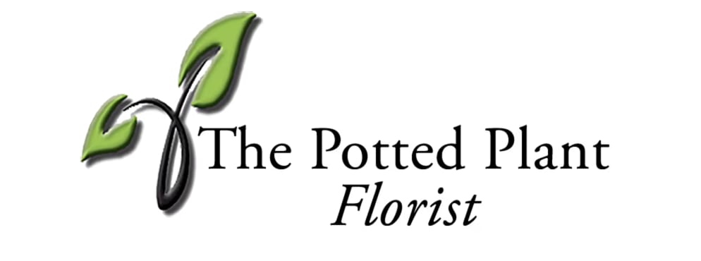 Online Gift Card - Gift Card for Online Use