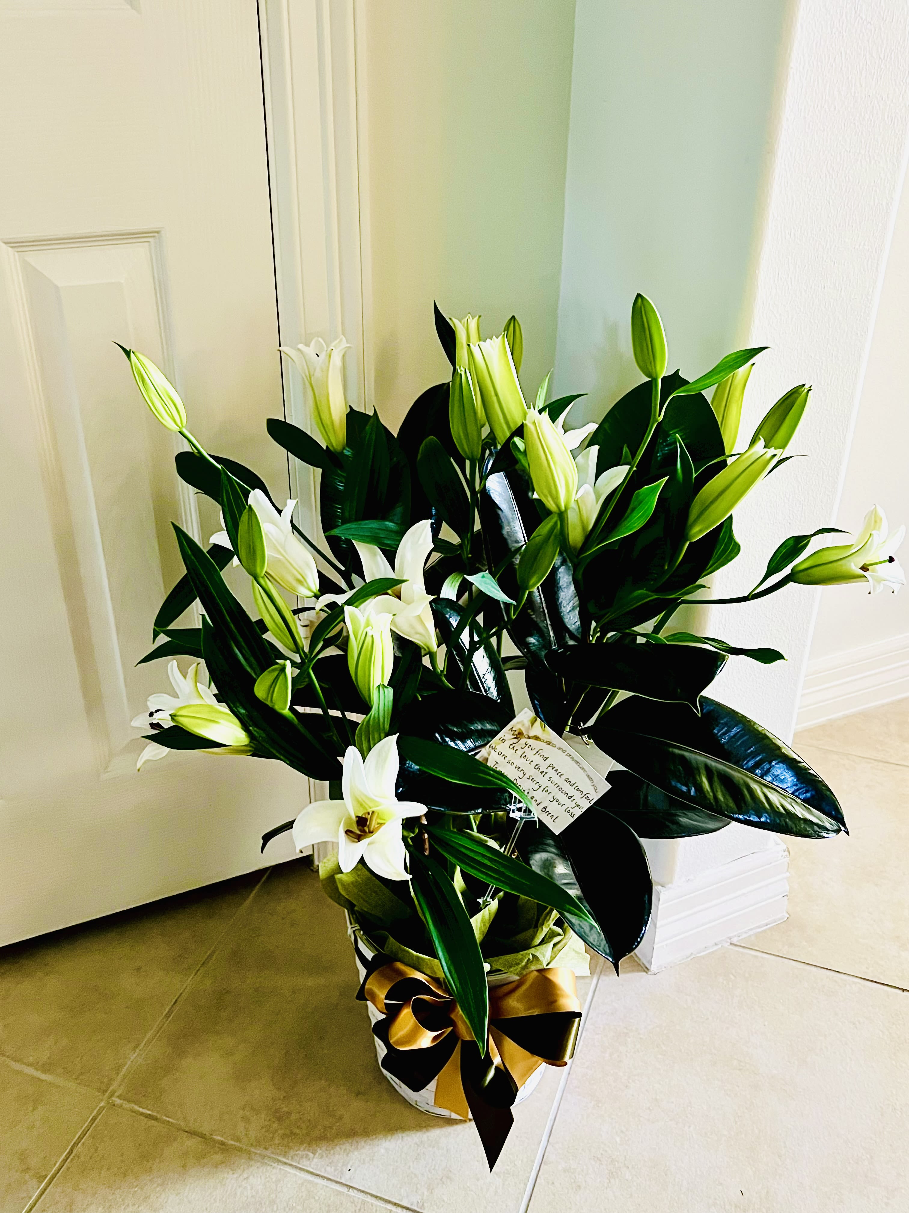 Grace &amp; Green (sympathy plant) - Sympathy plants decorated with fresh blooms offer a heartfelt blend of lasting greenery and the uplifting beauty of seasonal flowers.They bring warmth and comfort to grieving hearts, serving as both a tribute and a gentle reminder of love and support.Color of the lily will be selected based on availability.For same day delivery and Free Delivery Options Text or Call  832-973-1376.   