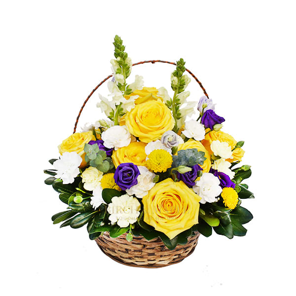 Remembrance - Make someone close to you feel unique and cherished by sharing this beautiful fusion of colors. This stunning basket of premium  roses, snapdragons and seasonal foliage will make a great gift for those who don’t shy away from celebrating life .For same day delivery and Free Delivery Options Text or Call  832-973-1376. 
