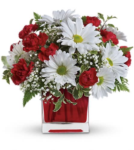 Red And White Delight by Teleflora - Make her day! Send your special someone this charming bouquet arranged in a ruby red glass cube. It's a gift that will surely delight! Includes miniature red carnations and white daisy chrysanthemums accented with fresh greenery. Delivered in a glass Cube.Approximately 10 1/2" W x 10 1/4" H Orientation: One-Sided As Shown : TEV27-2ADeluxe : TEV27-2BPremium : TEV27-2C