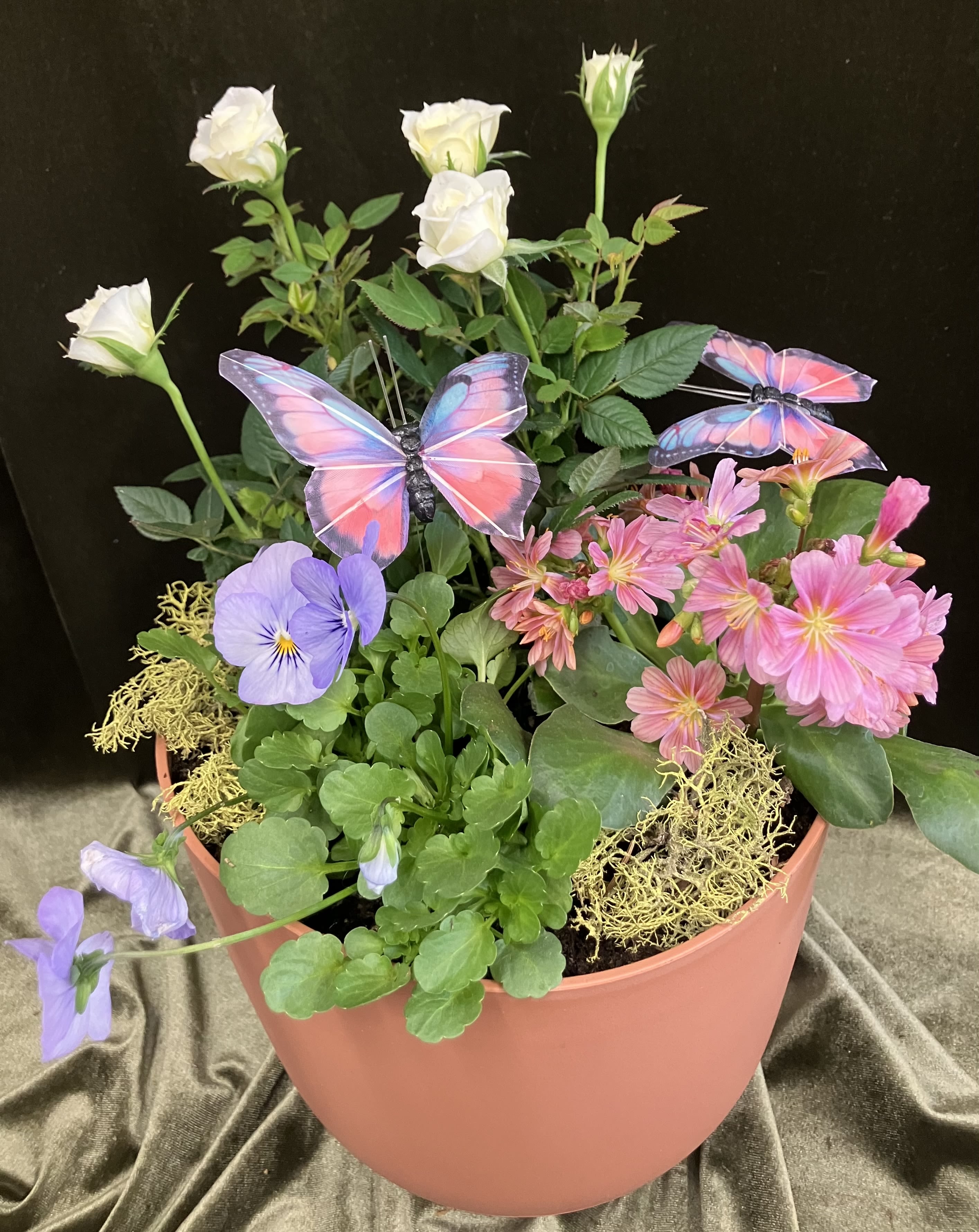 Outdoor Planter - Spring is in the air! Send a pretty porch planter as pictured of live plants with pastel butterflies and moss.