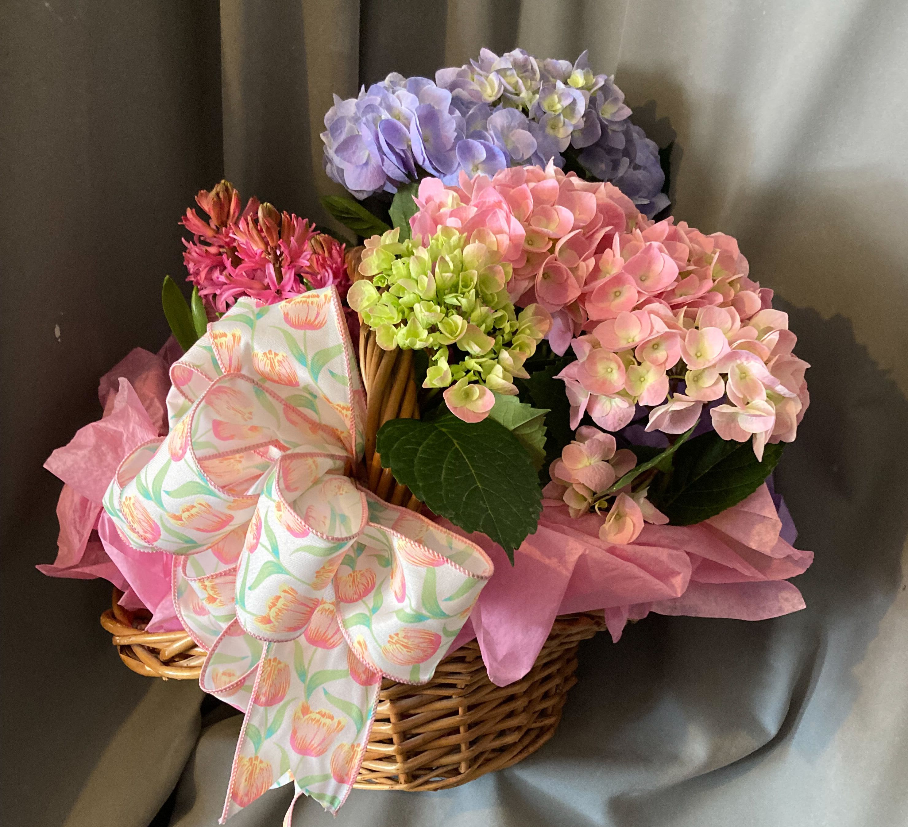 SPRING FLING - A BASKET FULL OF HYDRANGEA AND HYCINTH PLANTS, TIED OFF WITH A SPRING BOW