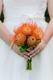 Pin Cushion Bouquet - A bridal bouquet made of pin cushion proteas and ti leaves. Available in orange and yellow. The bouquet is wrapped in ribbon of choice , simple yet elegant.