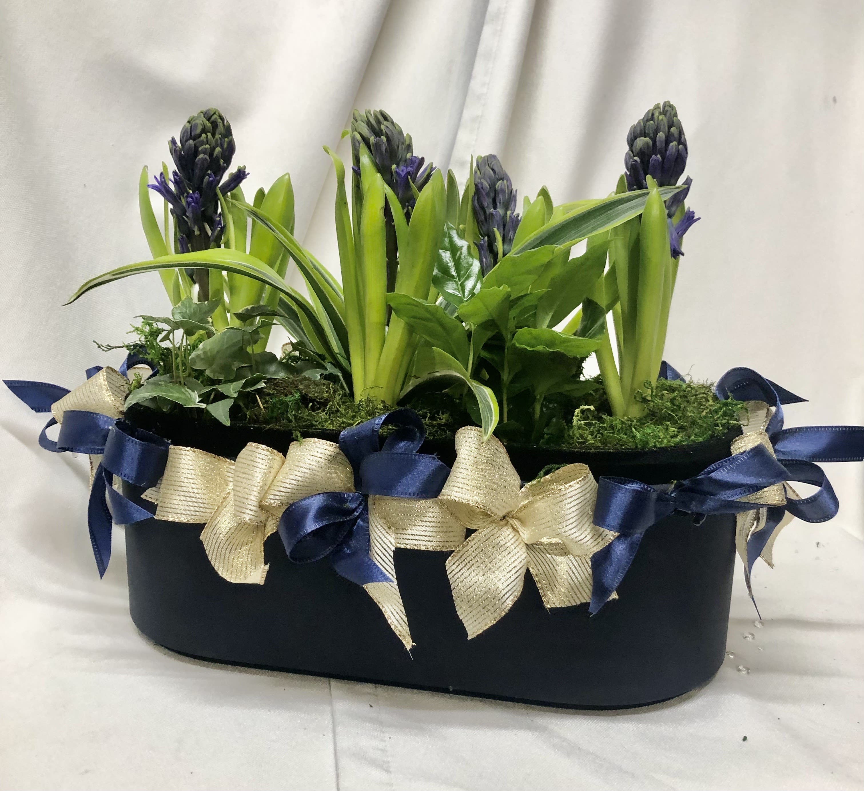 BLOOMING BLUES - 4 HYACINTH BLUE PLANTS IN A CUSTOM CONTAINER