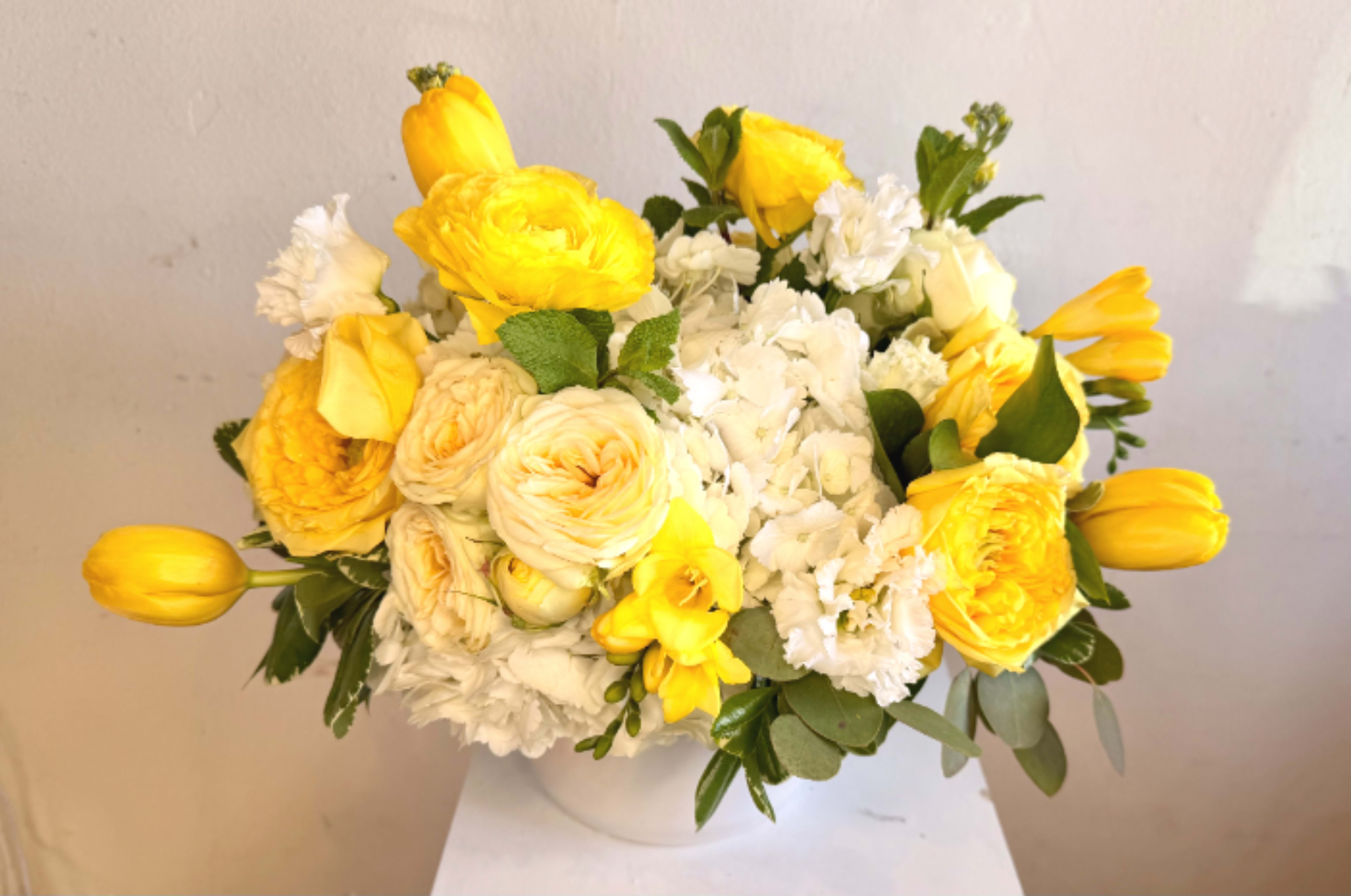 Mellow Yellow - A cheerful spray of yellow and white blooms designed to brighten any spring celebration-this bouquet is a sunny birthday bouquet or pick-me-up for someone recovering, and it reads as both joyful and gently elegant. Creamy white hydrangeas form a soft, rounded base while warm yellow roses and layered ranunculus are tucked through the design, so the person you're sending it to feels genuinely noticed and uplifted.  Bright yellow tulips and sprigs of freesia arc slightly outward to give the arrangement movement and a lively silhouette, balanced by touches of white stock and carnations for texture and fragrance. Shown both in a simple white ceramic vase and in a low white ceramic bowl vase, the compact, tidy profiles make this arrangement easy to display on a table, desk, or bedside. The sunny yellow and clean white palette is perfect for spring, Easter, birthdays, or a thoughtful way to say "I'm thinking of you."