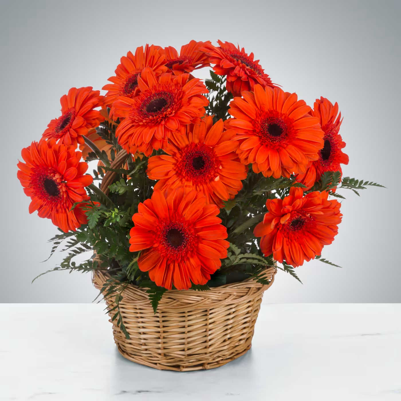 Make it Pop by BloomNation™ - Who doesn't love a bright basket! Featuring coral gerberas this arrangement is sendable, portable joy, and sure to brighten anyone's day. Send it to celebrate birthdays or just because.  Approximate Dimensions: 15"D x 15"H