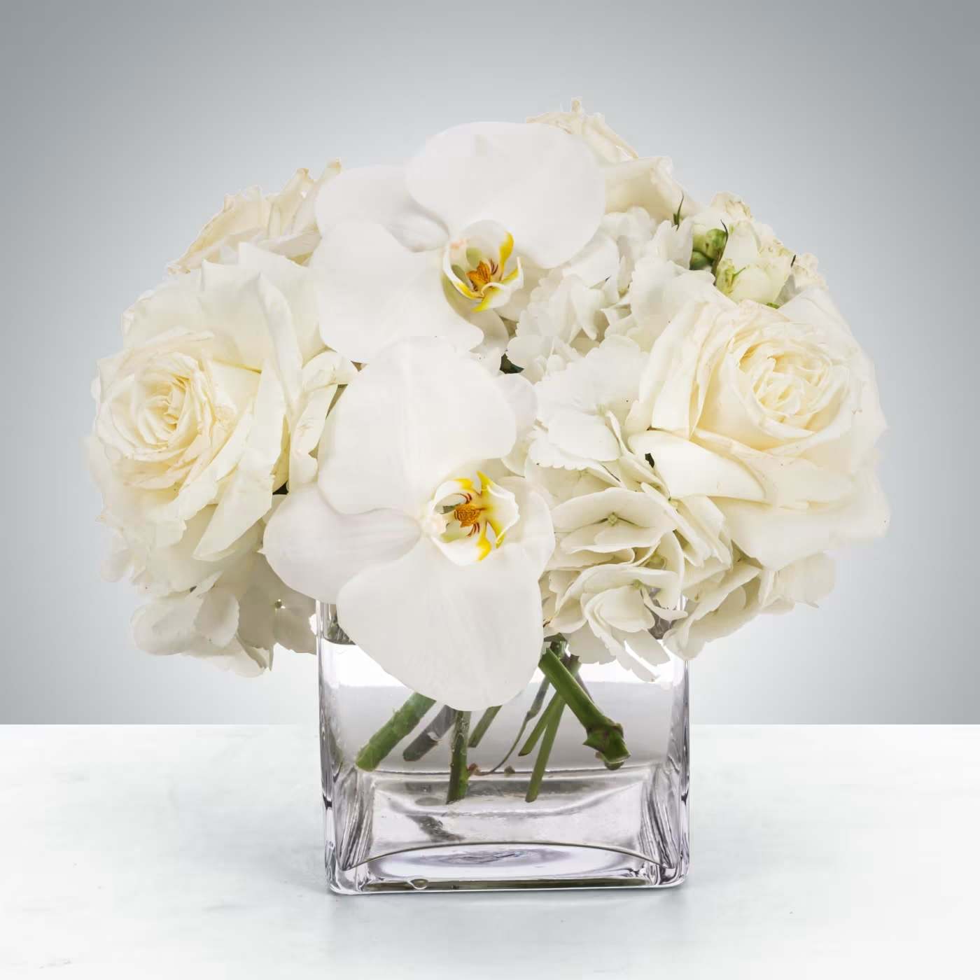 Linen by BloomNation™ - This petite all-white arrangement featuring hydrangea and orchids is the perfect all-occasion gift. Send it for any holiday, event, or circumstance.  Approximate Dimensions: 8"D x 8"H
