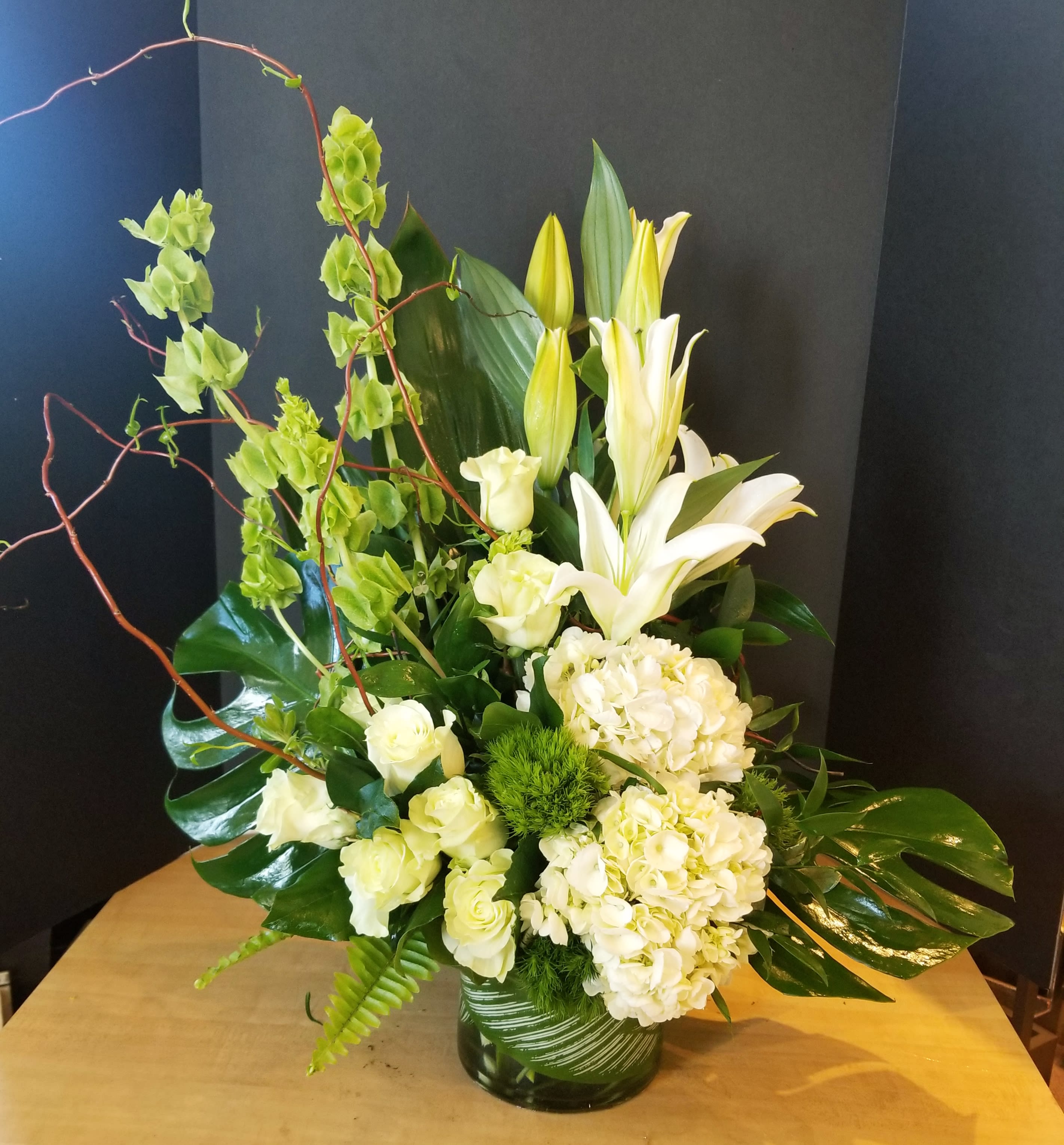 Botanical Beauty Bouquet - Snow white blooms and eye-catching greens create this beautiful botanical gift that's a peaceful addition to any occasion. This modern bouquet includes white hydrangea, green roses, white asiatic lilies, green trick dianthus, bells of Ireland, green button spray chrysanthemums, curly willow, oregonia, variegated aspidistra leaves, small aralia leaf, green ti leaf, and lemon leaf. Delivered in a cylinder vase. Approximately 18 1/2" W x 27" H 