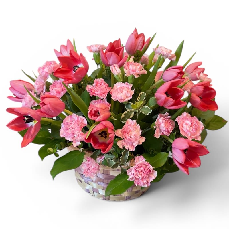 Hoppy Tulip Bunny Basket - Celebrate the joy of spring and Easter with our playful Hoppy Tulip Bunny Basket, a charming arrangement designed to make anyone smile. This cheerful design features vibrant mixed pink/red/white tulips dancing among soft, ruffled mini carnations, all nestled in a sweet woven basket that feels like it was just delivered by the Easter Bunny himself.  Bursting with fresh seasonal blooms and lush greenery, this arrangement brings a lively, garden-fresh feel to any space. The whimsical mix of textures and colors creates a fun, lighthearted look—perfect for Easter celebrations, spring birthdays, or simply brightening someone’s day.  Handcrafted with care, this basket arrangement is ideal as a centerpiece, a thoughtful gift, or a festive accent for your home. Its low, full shape makes it easy to display on tables, counters, or entryways.   Perfect for: Easter gifts, spring décor, get well wishes, and cheerful surprises  Flower varieties may vary slightly based on freshness and availability  Designed fresh and ready to enjoy  Add a little hop of happiness to your holiday with this adorable springtime favorite!