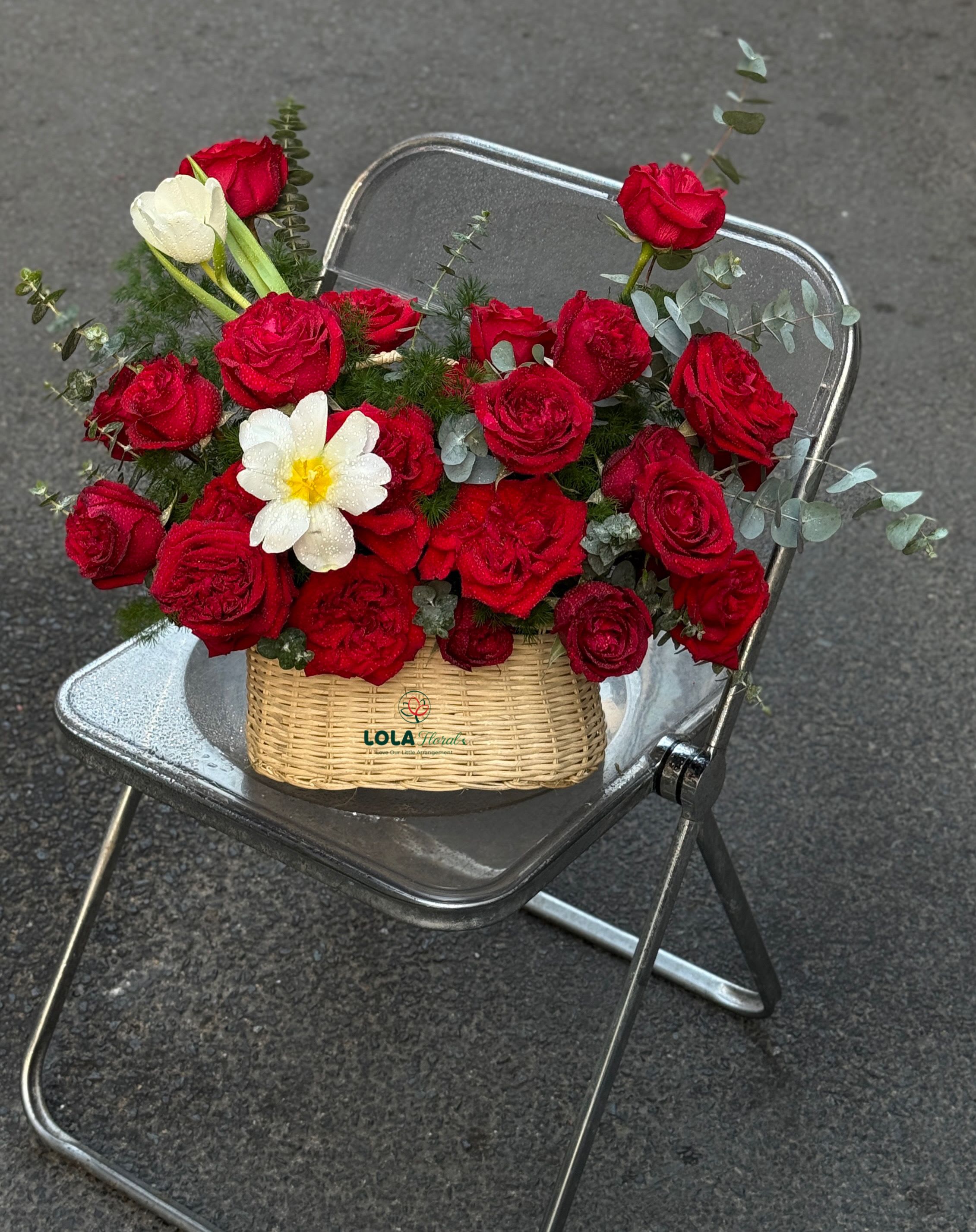 Red Velvet - A lush spill of deep red roses defines this Red Velvet flower arrangement, a compact bouquet-style floral centerpiece perfect for an anniversary, Valentine's Day, or any romantic celebration. The dense cluster of velvety crimson roses is immediately striking, while the few creamy white tulips and a single larger white bloom with a sunny yellow center create a bright focal contrast that draws the eye and lifts the composition.  Set low in a woven basket and photographed resting on a simple metal folding chair, this arrangement reads as both elegant and approachable-ideal for surprising the person you're thinking of or marking a special everyday moment. Silvery, feathery greenery weaves through the flowers to add soft texture and a slightly airy outline, keeping the design from feeling too heavy while enhancing the red-and-white color story.  Because it's arranged low in a basket, Red Velvet is ready to sit on a bedside table, small dining table, or office desk without overpowering the space. For best results, keep blooms in fresh water, trim stems every few days, and display away from direct heat or drafts so the roses and tulips last as long as possible.