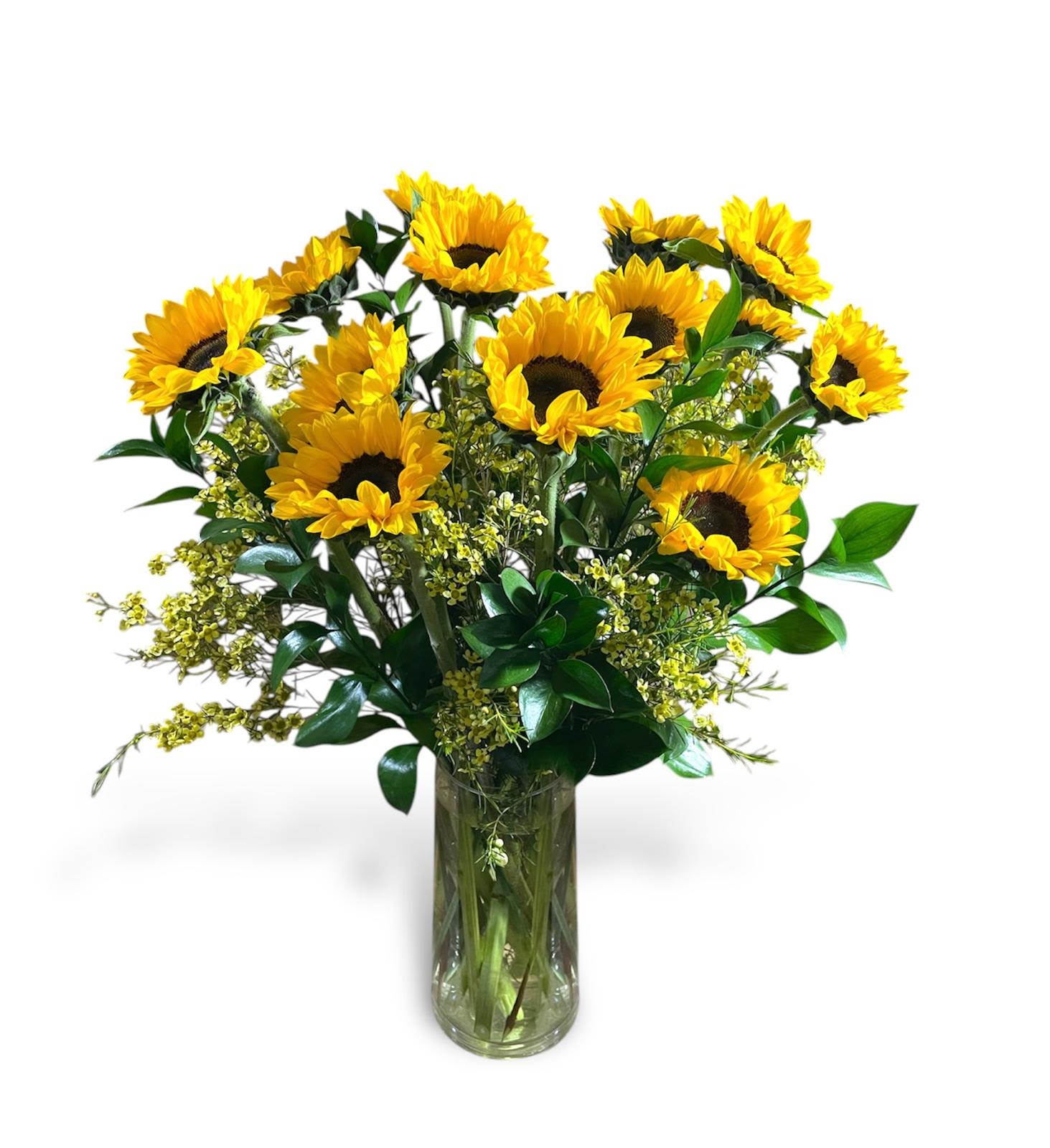 Always Sunny - This bright and beautiful arrangement has sunflowers, yellow wax flowers, and israeli ruscus in a tall glass cylinder vase. 