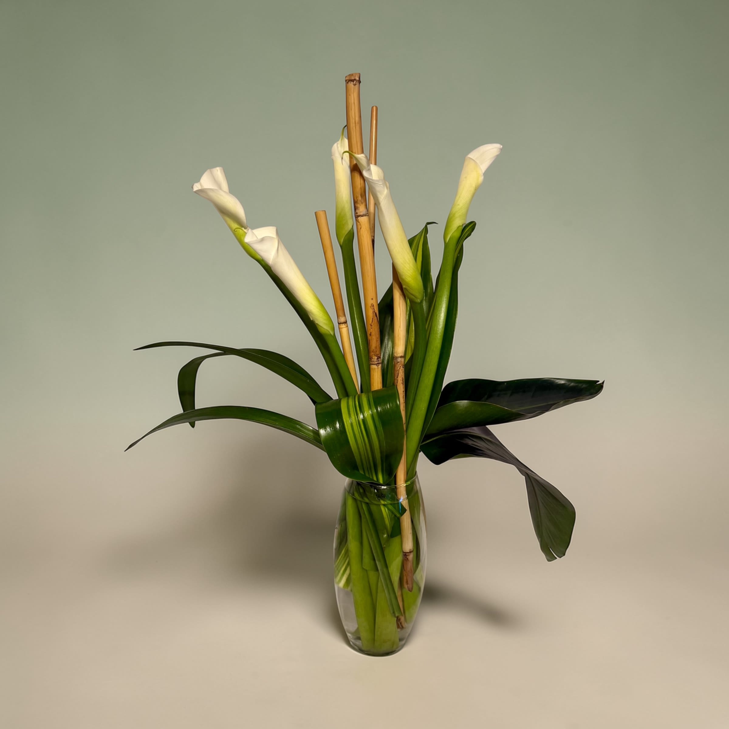 Bamboo and Cala’s  - Tall, sculptural white calla lilies rise with serene confidence in this vertical arrangement-perfect as a sympathy arrangement, a refined Mother's Day gift, or a modern housewarming surprise. The clean lines and neutral white-and-green palette make it equally fitting for anniversaries, graduations, or a simple "thinking of you" moment when you want the recipient to feel calm and seen.  Six long-stemmed calla lilies are arranged around natural bamboo sticks in a clear glass vase, with broad glossy green leaves thoughtfully folded and looped to frame each bloom. The design is minimal and structured, emphasizing height and sculptural shape rather than crowding-ideal for contemporary interiors or a mantel display. Its compact footprint is easy to place while still making an elegant statement.  Whether you're sending sympathy or comfort, celebrating a milestone, or brightening someone's recovery, this arrangement communicates quiet strength and care. For care, keep water fresh and the stems trimmed at an angle every few days to prolong the life of the lilies; place away from direct heat and drafts for best results.
