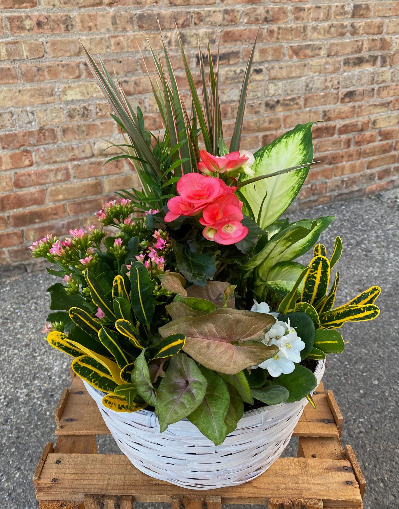 Blooming Garden - A lovely mix of blooming and green plants. These mixed gardens are a wonderful addition to homes and offices. Perfect for all occasions. PLANTS AND CONTAINER CAN VARY FROM WHAT IS PICTURED BASED ON SEASON AND AVAILABILITY.  We are proud to deliver our flower creations to the Kenosha, Somers, and Pleasant Prairie area. With over 55 years of combined flower design experience in Kenosha, Wisconsin, A Summer's Garden Florist and Gifts is the perfect choice for the freshest flowers, most creative design, and exceptional customer service.